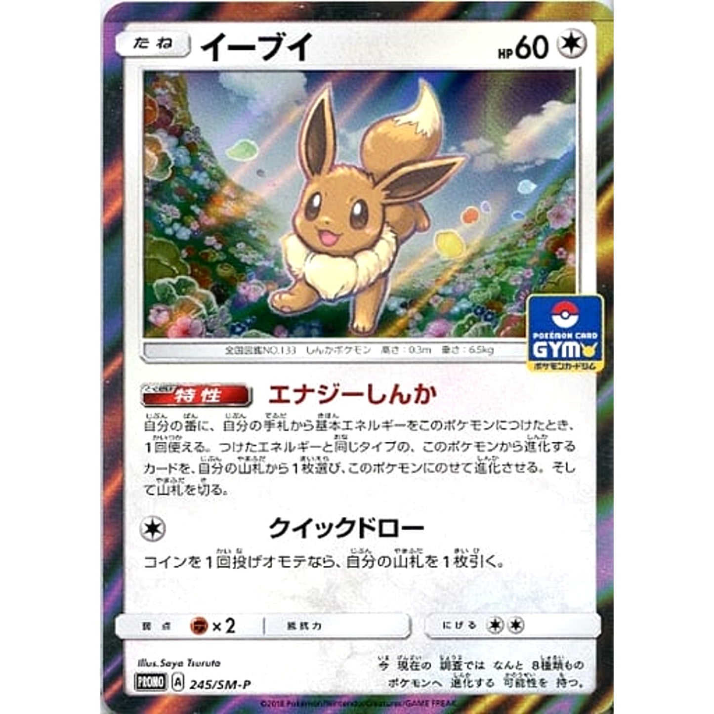 Pokemon Eevee Holo Promo 245/SM-P Promotion Card SM-P Japanese Pokemon Card [USED]