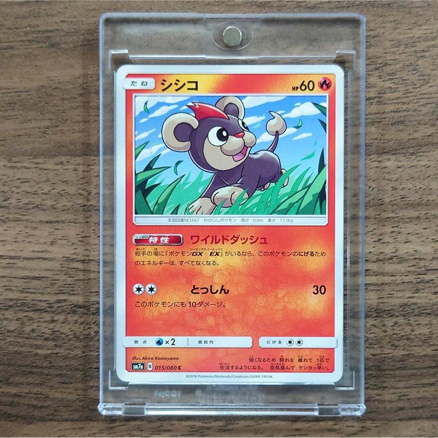Litleo C 015/060 SM7a Thunderclap Spark Japanese Pokemon Card [USED]