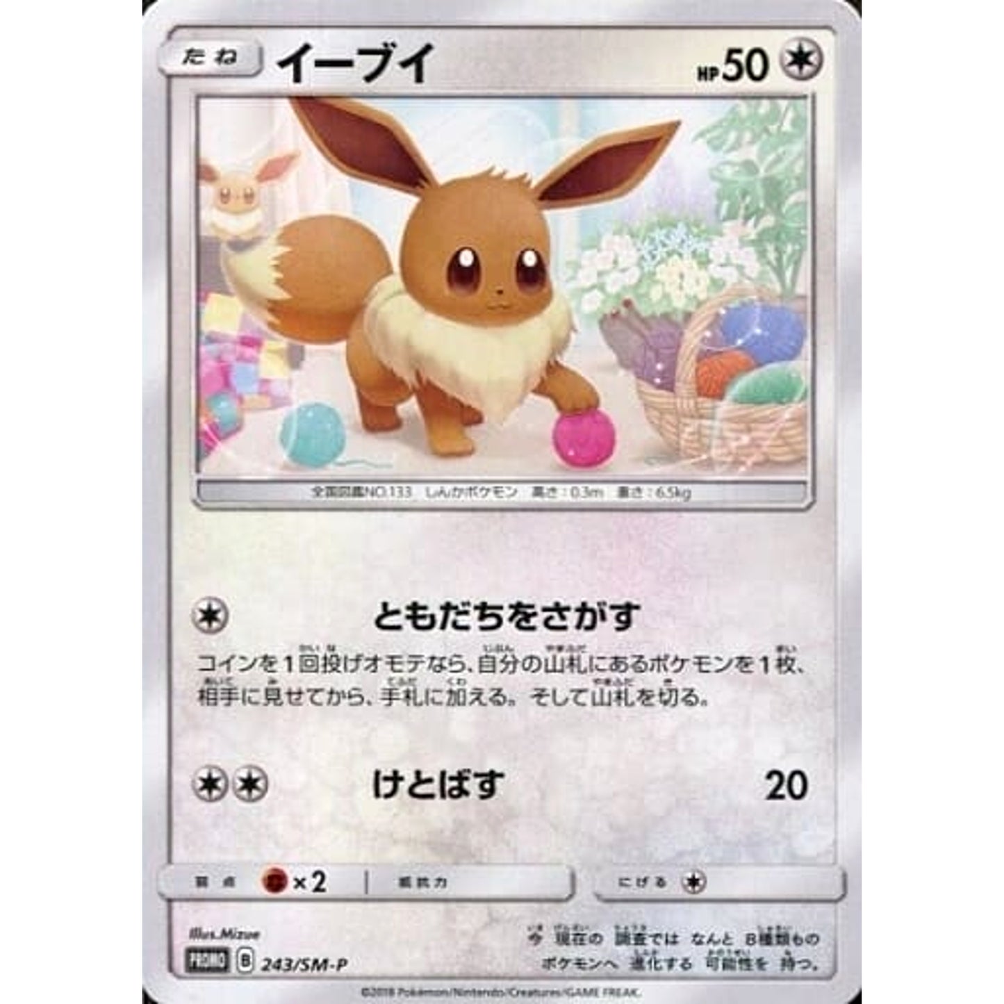 Pokemon Eevee Promo 243/SM-P Promotion Card SM-P Japanese Pokemon Card [USED]