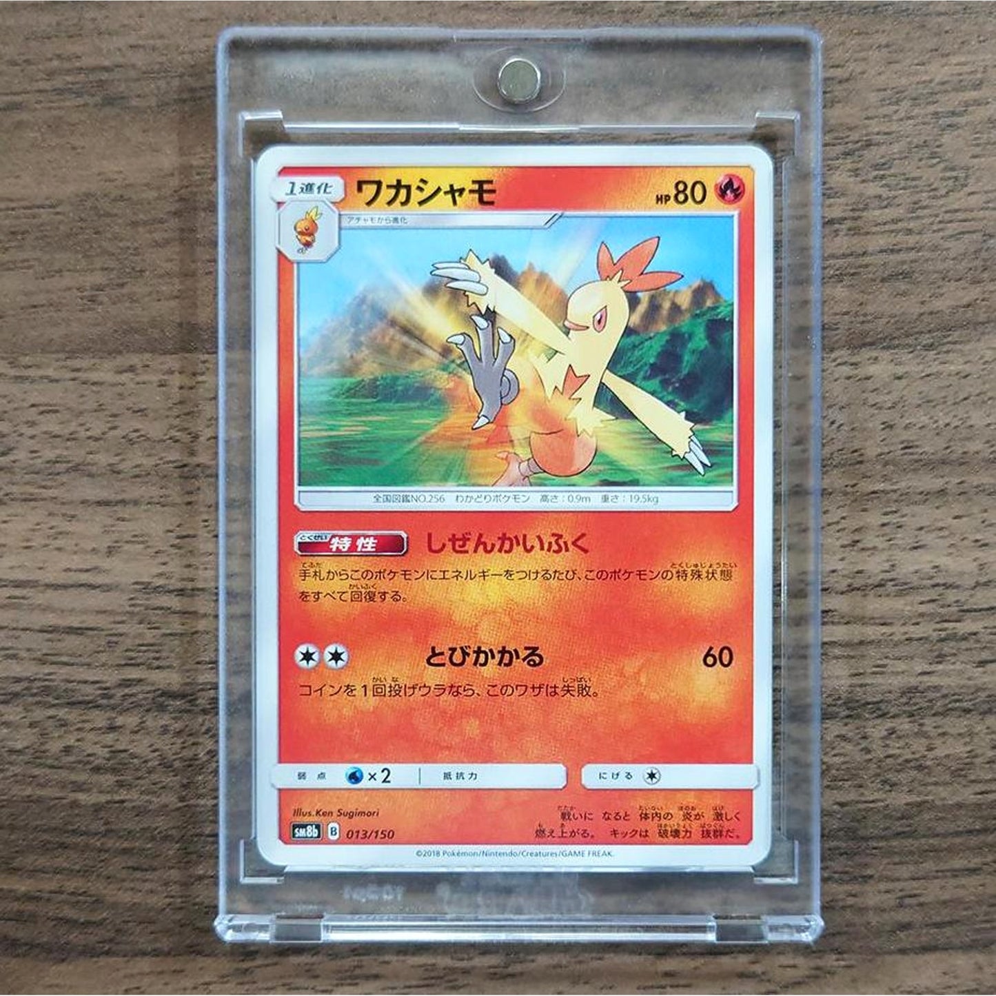 Combusken 013/150 SM8b Hidden Fates Japanese Pokemon Card [USED]
