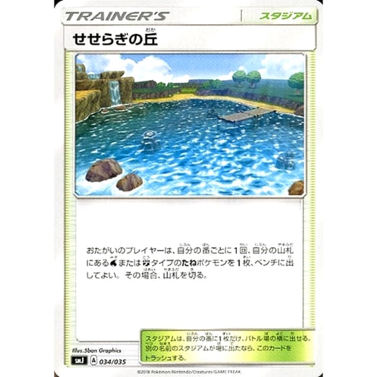 Pokemon Brooklet Hill 034/035 SMJ TAG TEAM GX Premium Trainer Box Japanese Pokemon Card [USED]