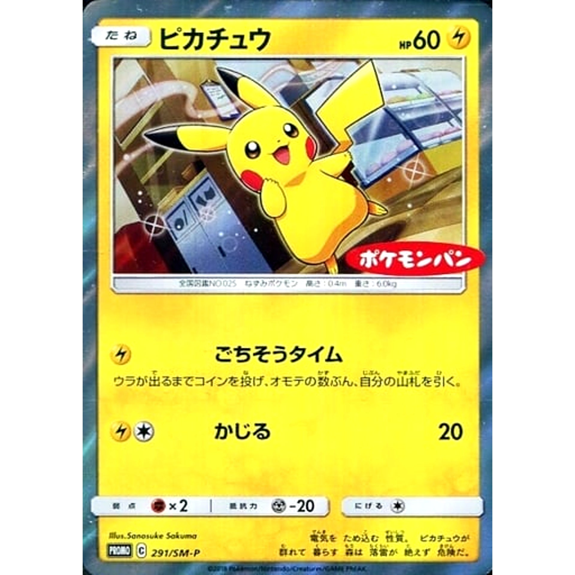 Pokemon Pikachu Promo 291/SM-P Promotion Card SM-P Japanese Pokemon Card [USED]