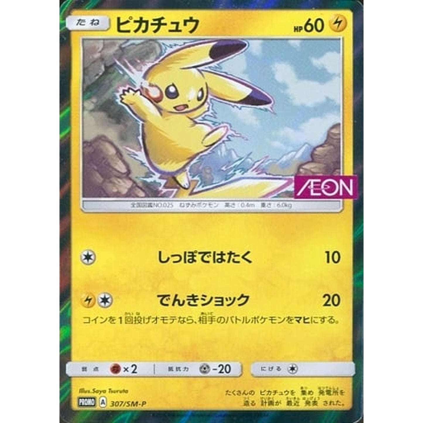 Pokemon Pikachu Holo Promo 307/SM-P Promotion Card SM-P Japanese Pokemon Card [USED]