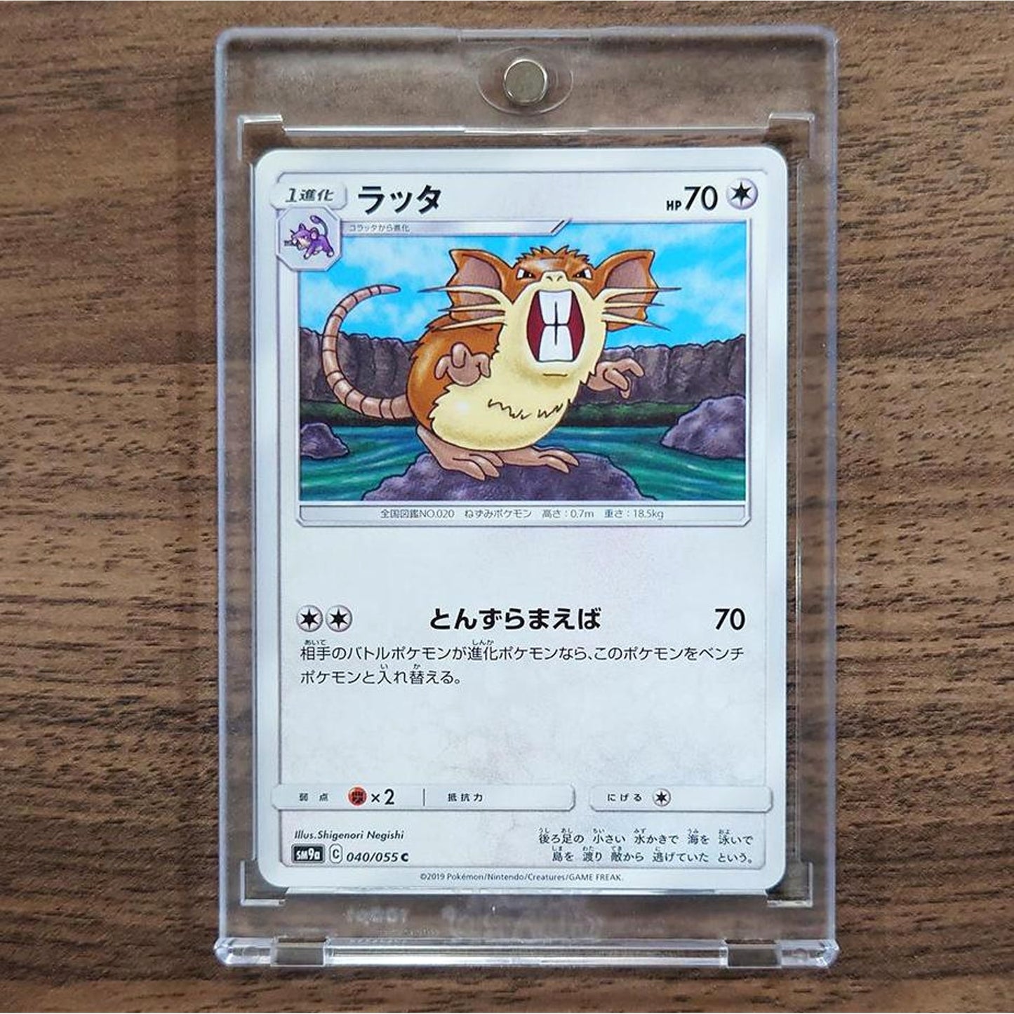 Raticate C 040/055 SM9a Night Unison Japanese Pokemon Card [USED]