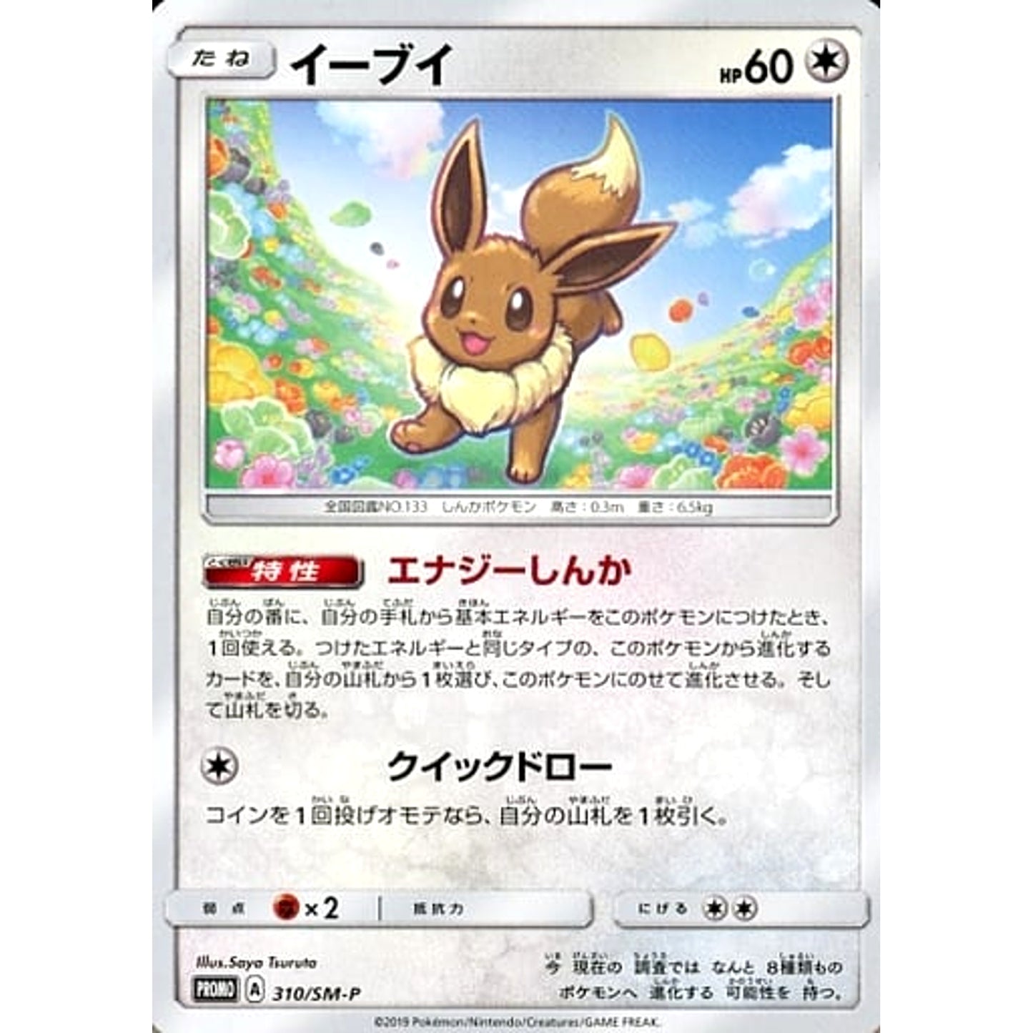 Pokemon Eevee Promo 310/SM-P Promotion Card SM-P Japanese Pokemon Card [USED]
