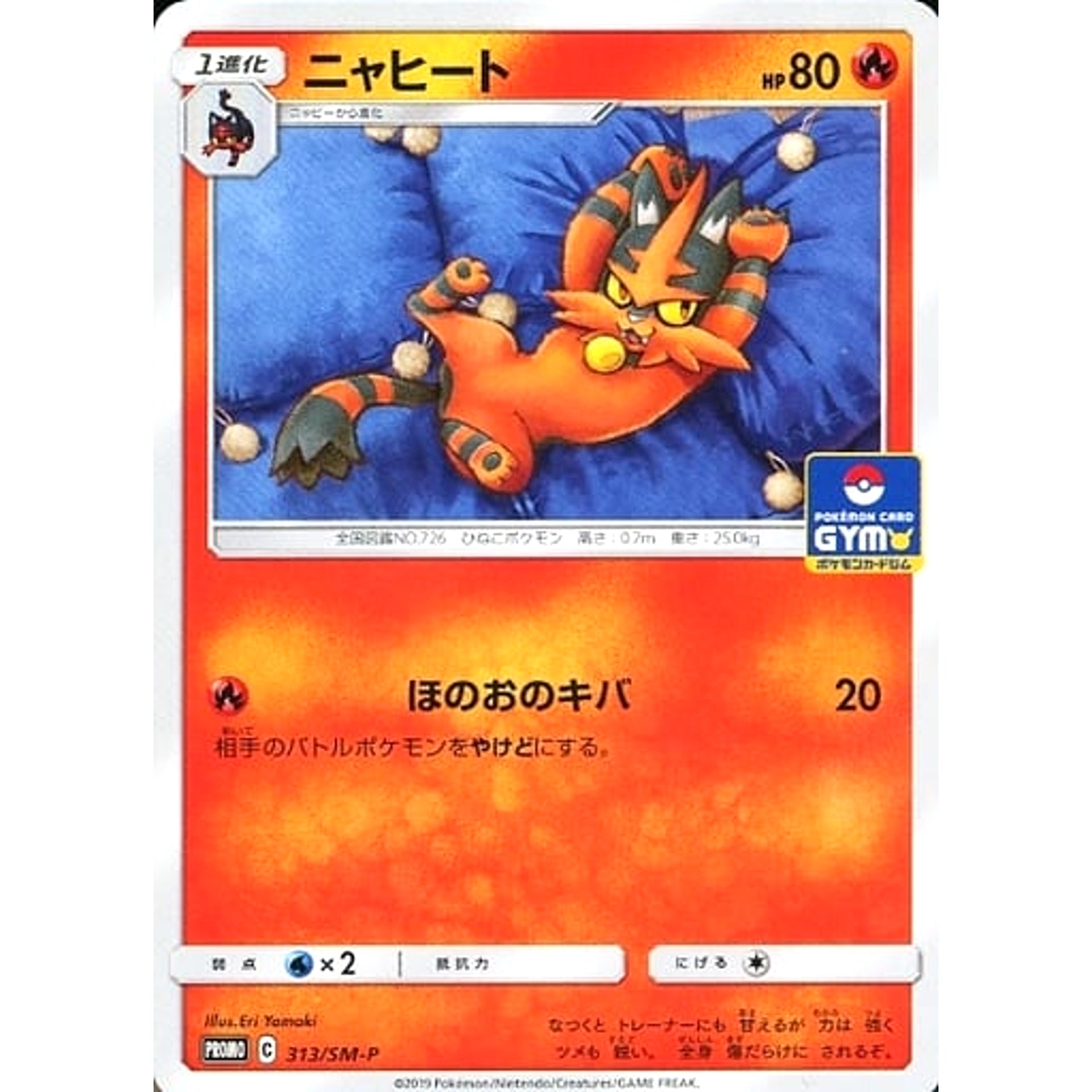 Pokemon Torracat Promo 313/SM-P Promotion Card SM-P Japanese Pokemon Card [USED]