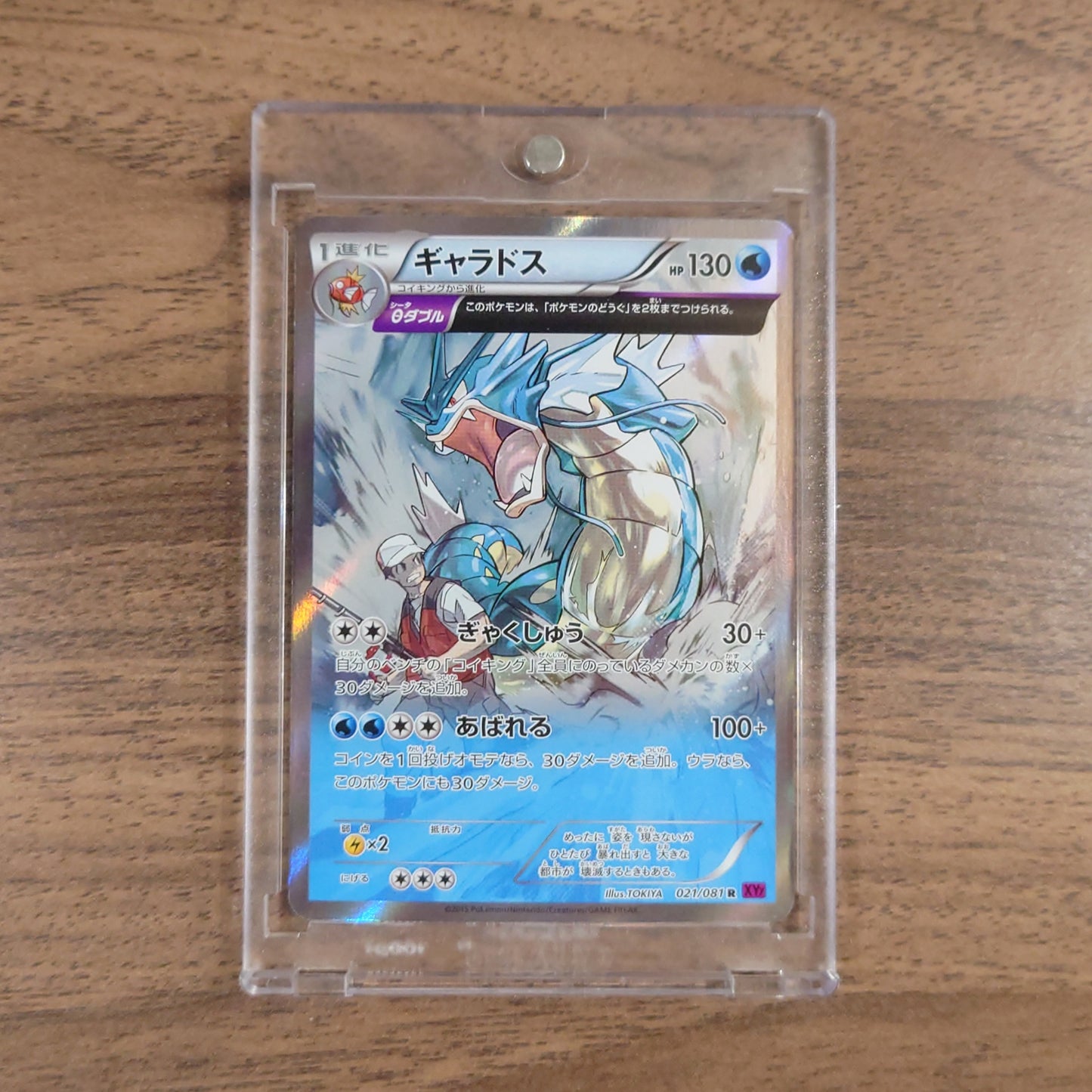 Pokemon Gyarados Holo R 021/081 XY7 Bandit Ring Japanese Pokemon Card [USED]
