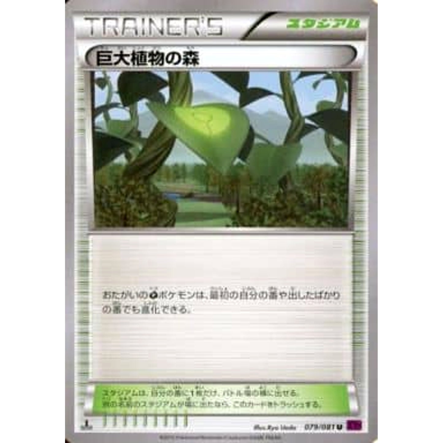Pokemon Forest of Giant Plants U 079/081 XY7 Bandit Ring Japanese Pokemon Card [USED]