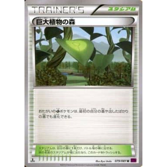 Pokemon Forest of Giant Plants U 079/081 XY7 Bandit Ring Japanese Pokemon Card [USED]