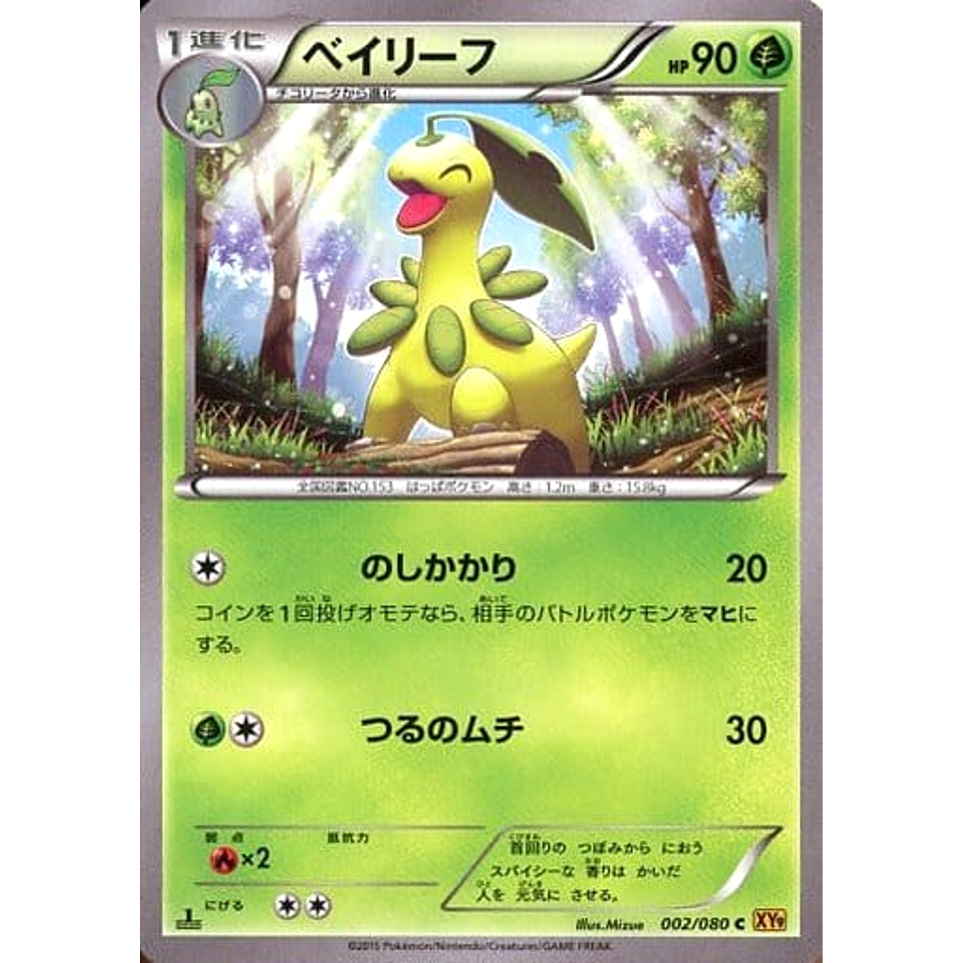 Pokemon Bayleef C 002/080 XY9 Rage of the Broken Heavens Japanese Pokemon Card [USED]
