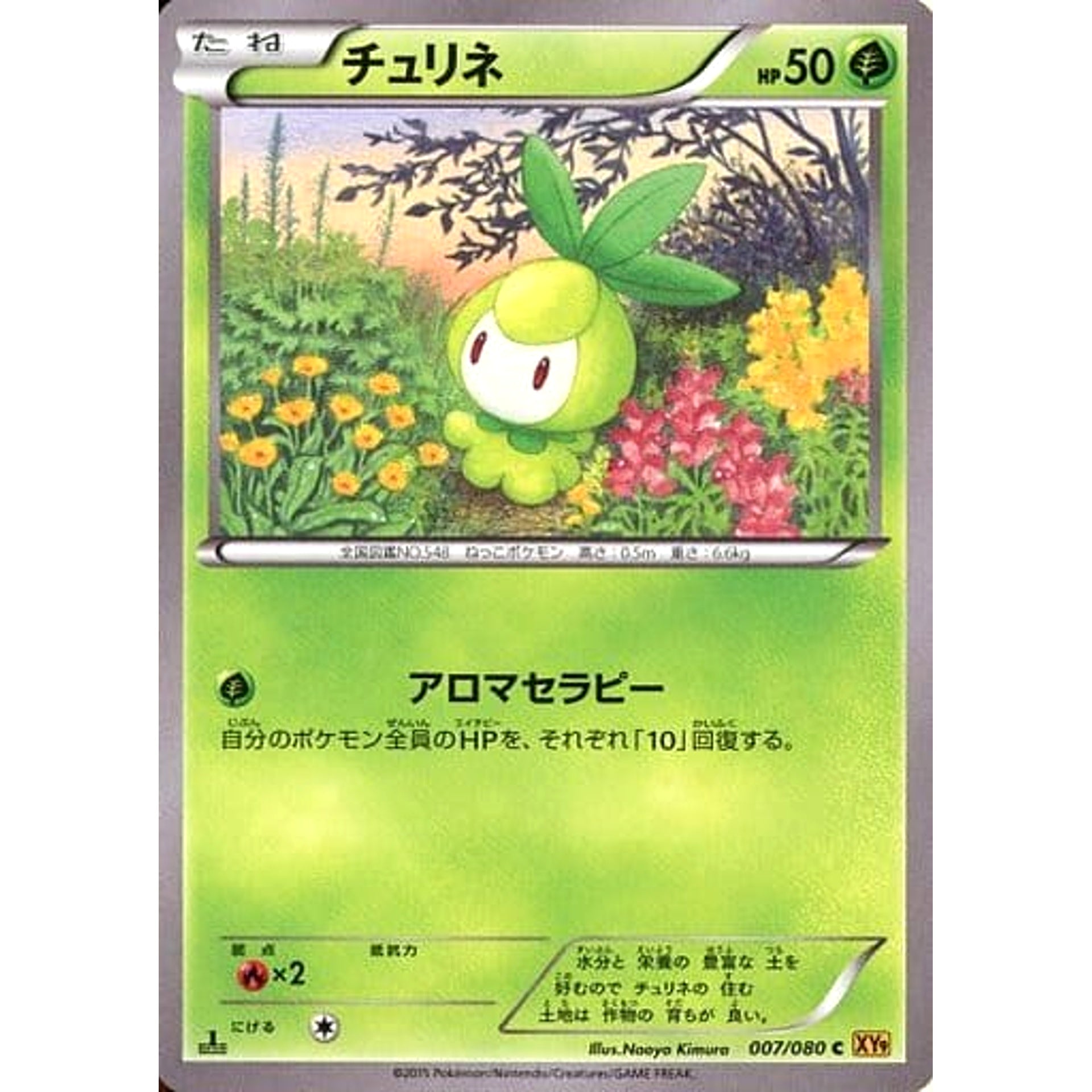 Pokemon Petilil C 007/080 XY9 Rage of the Broken Heavens Japanese Pokemon Card [USED]