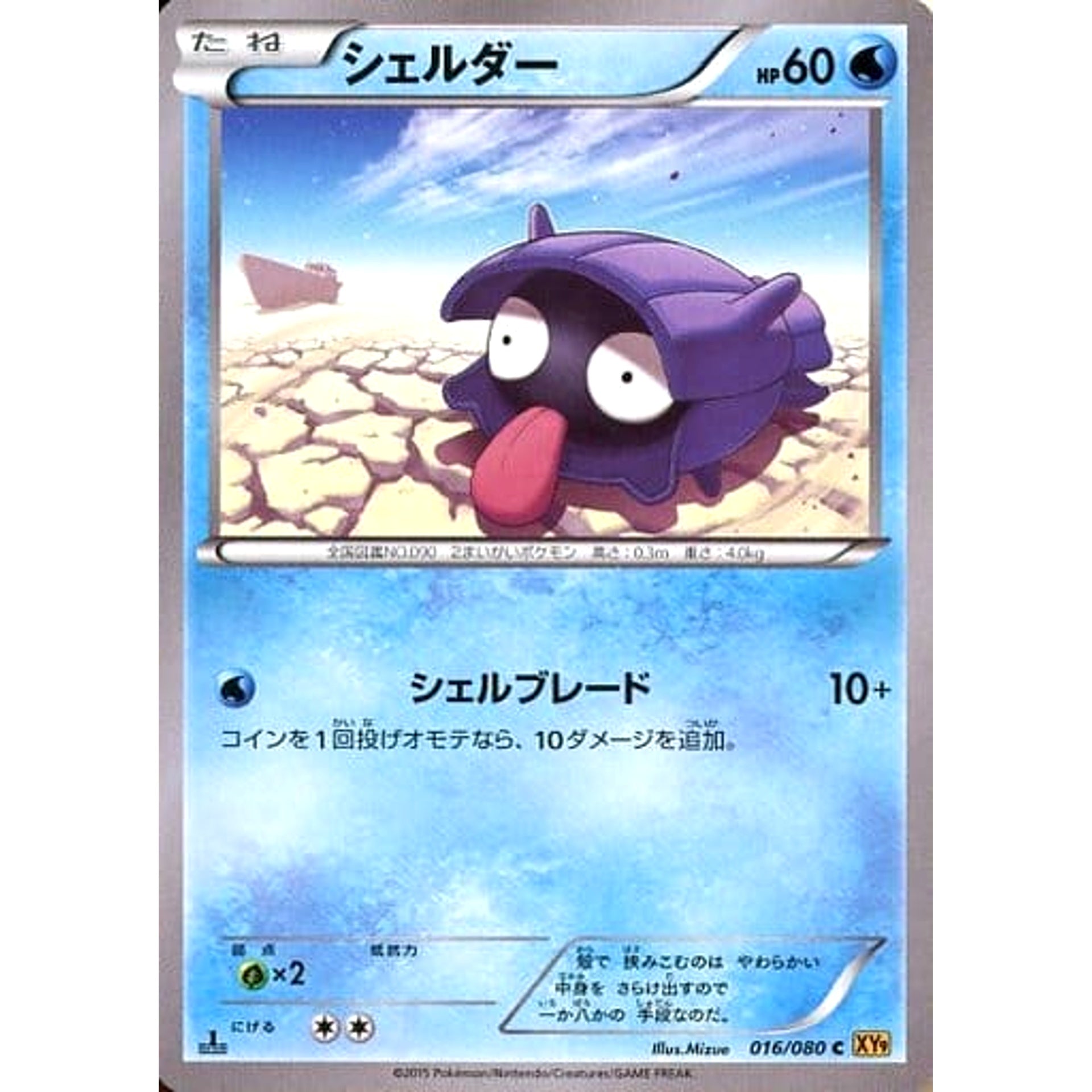 Pokemon Shellder C 016/080 XY9 Rage of the Broken Heavens Japanese Pokemon Card [USED]