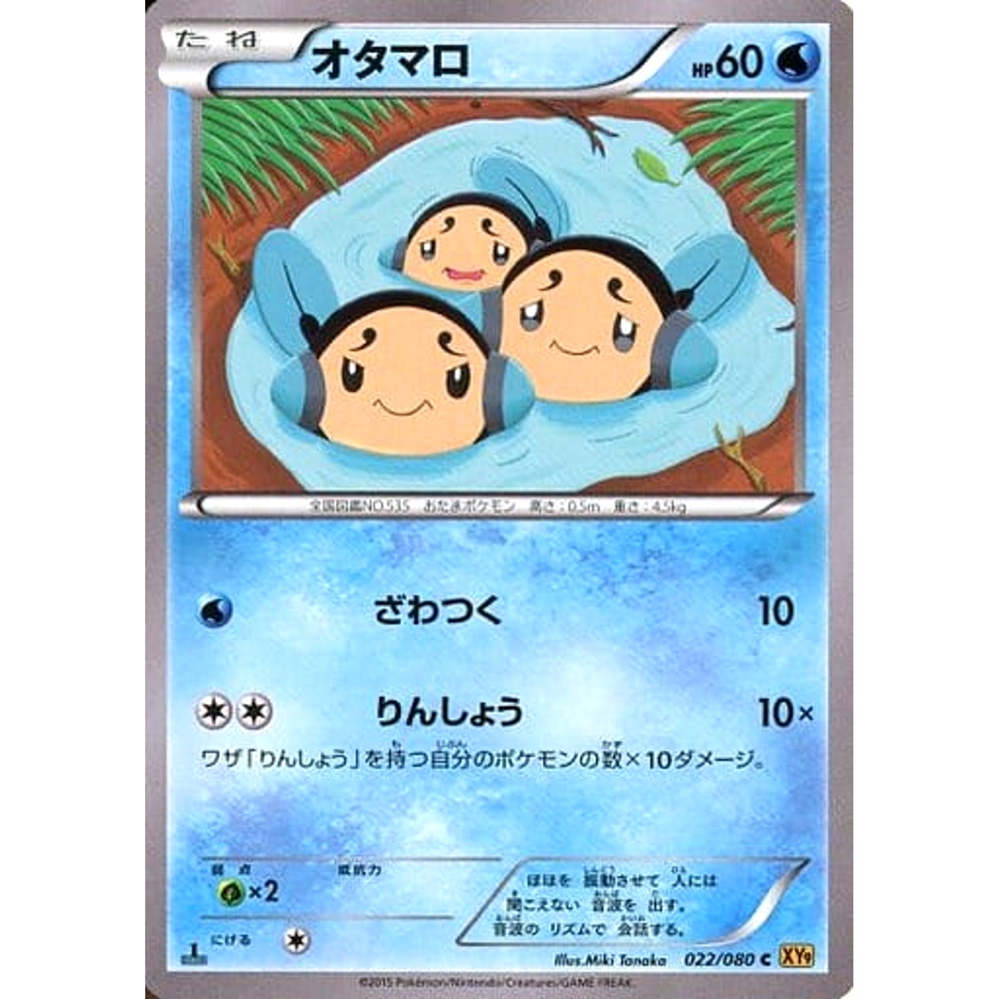 Pokemon Tympole Holo C 022/080 XY9 Rage of the Broken Heavens Japanese Pokemon Card [USED]