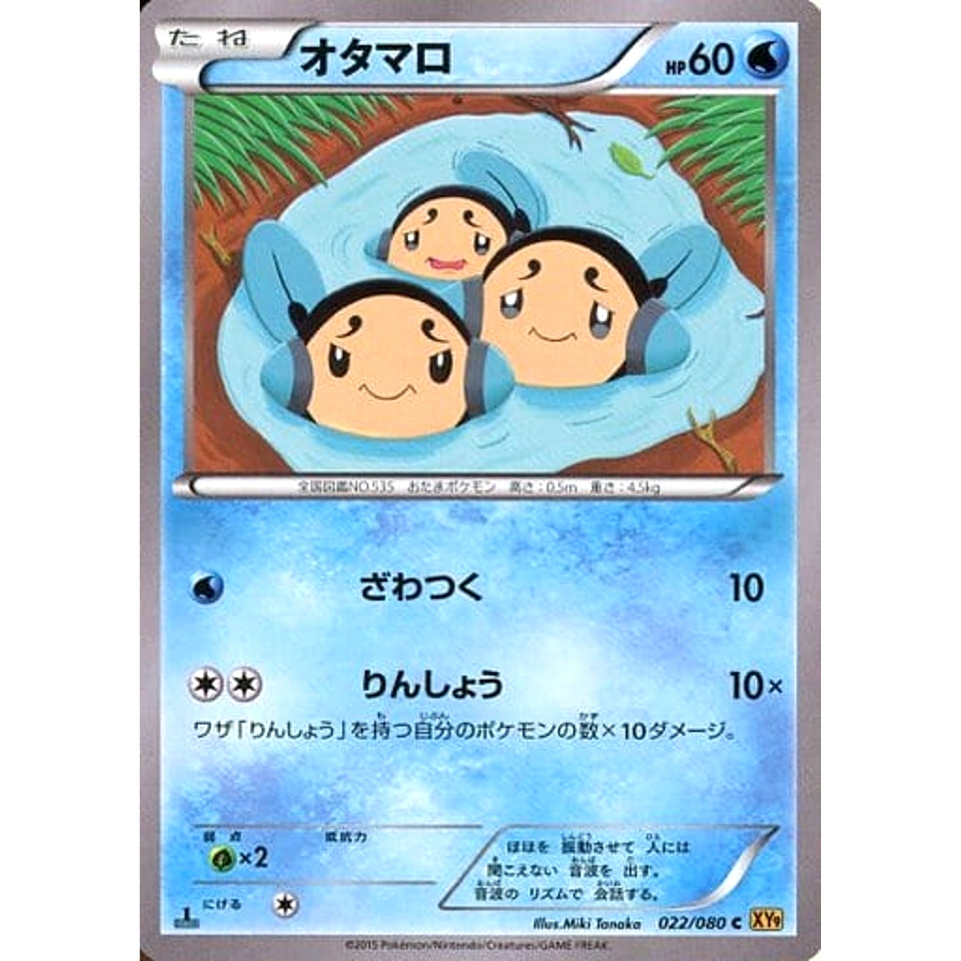 Pokemon Tympole Holo C 022/080 XY9 Rage of the Broken Heavens Japanese Pokemon Card [USED]