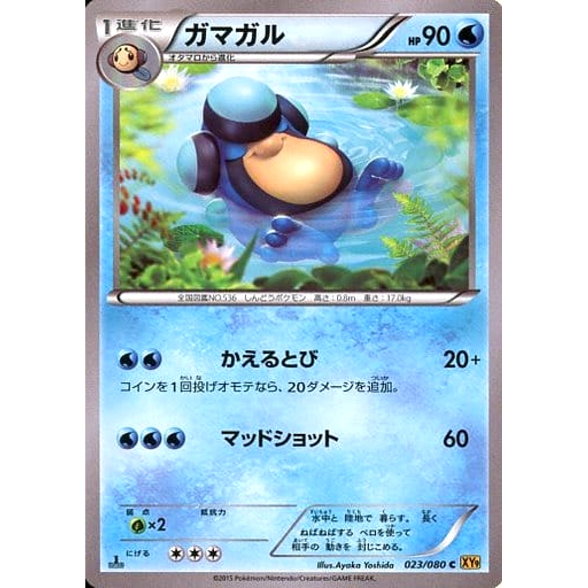 Pokemon Palpitoad C 023/080 XY9 Rage of the Broken Heavens Japanese Pokemon Card [USED]
