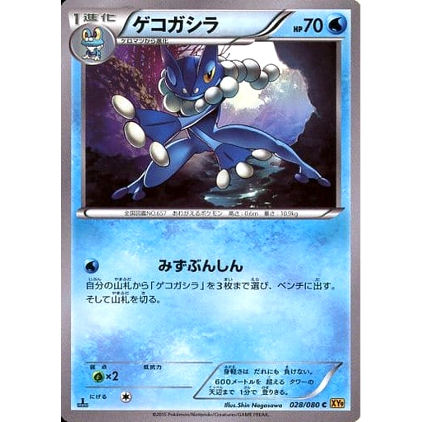 Pokemon Frogadier C 028/080 XY9 Rage of the Broken Heavens Japanese Pokemon Card [USED]