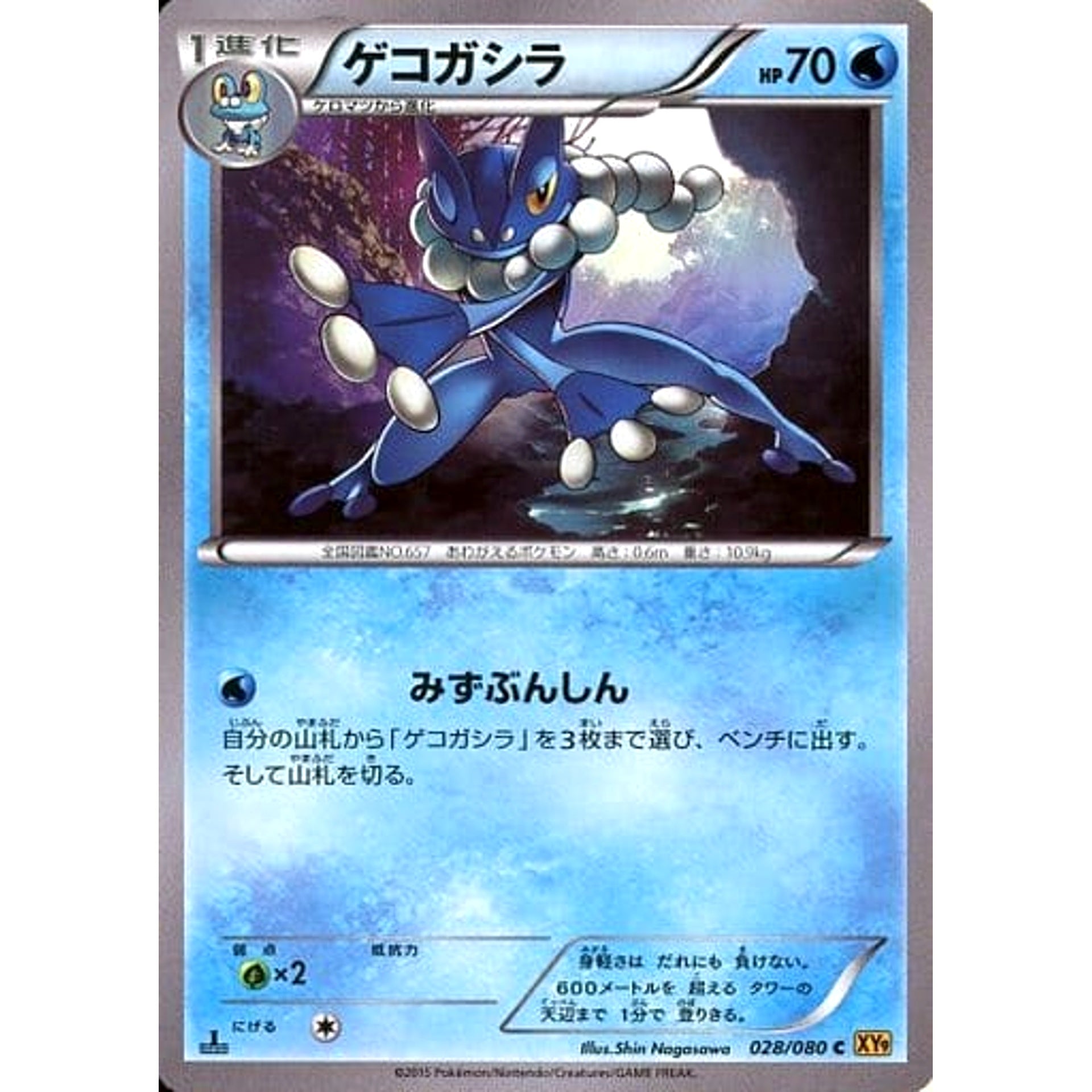 Pokemon Frogadier C 028/080 XY9 Rage of the Broken Heavens Japanese Pokemon Card [USED]
