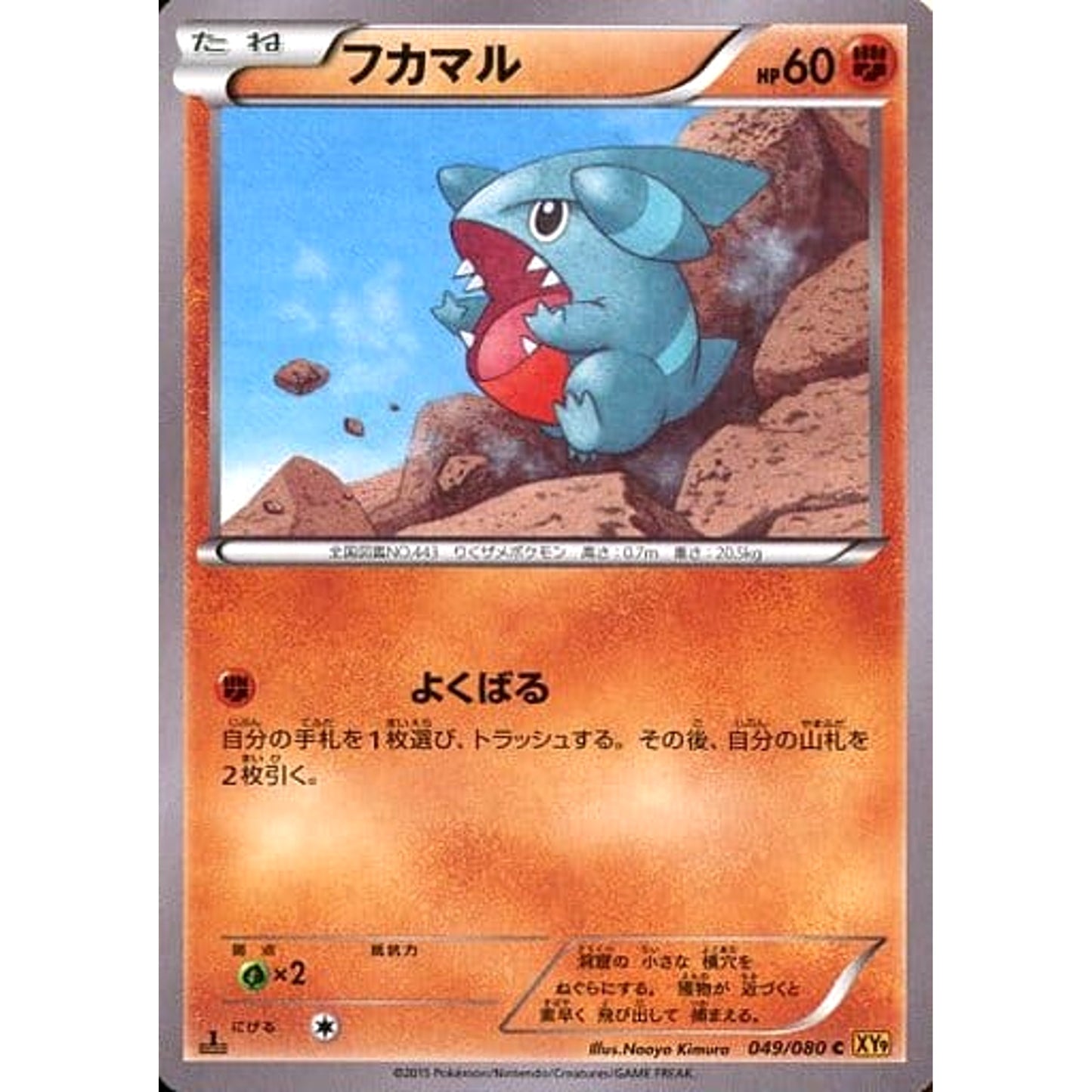 Pokemon Gible C 049/080 XY9 Rage of the Broken Heavens Japanese Pokemon Card [USED]