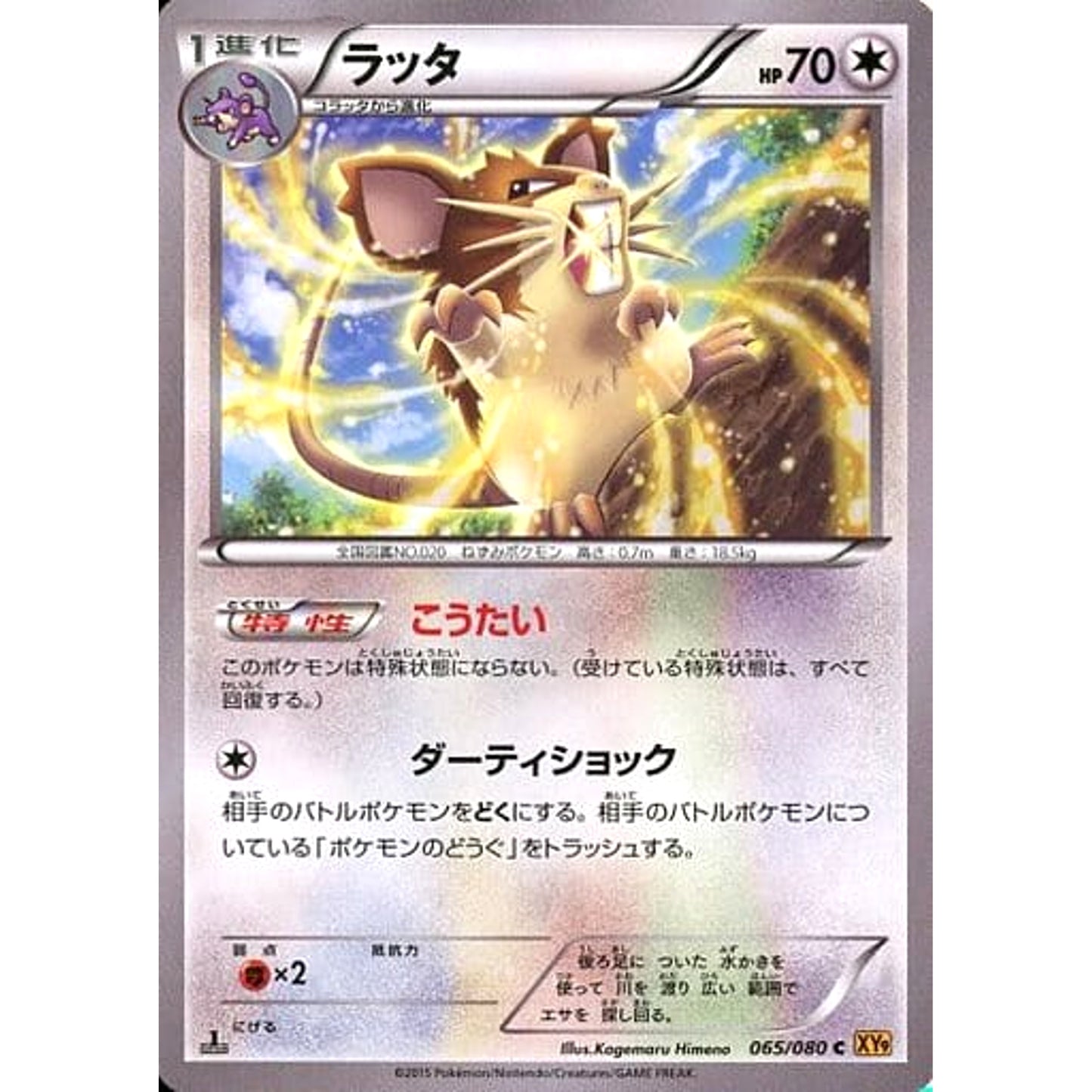 Pokemon Raticate C 065/080 XY9 Rage of the Broken Heavens Japanese Pokemon Card [USED]