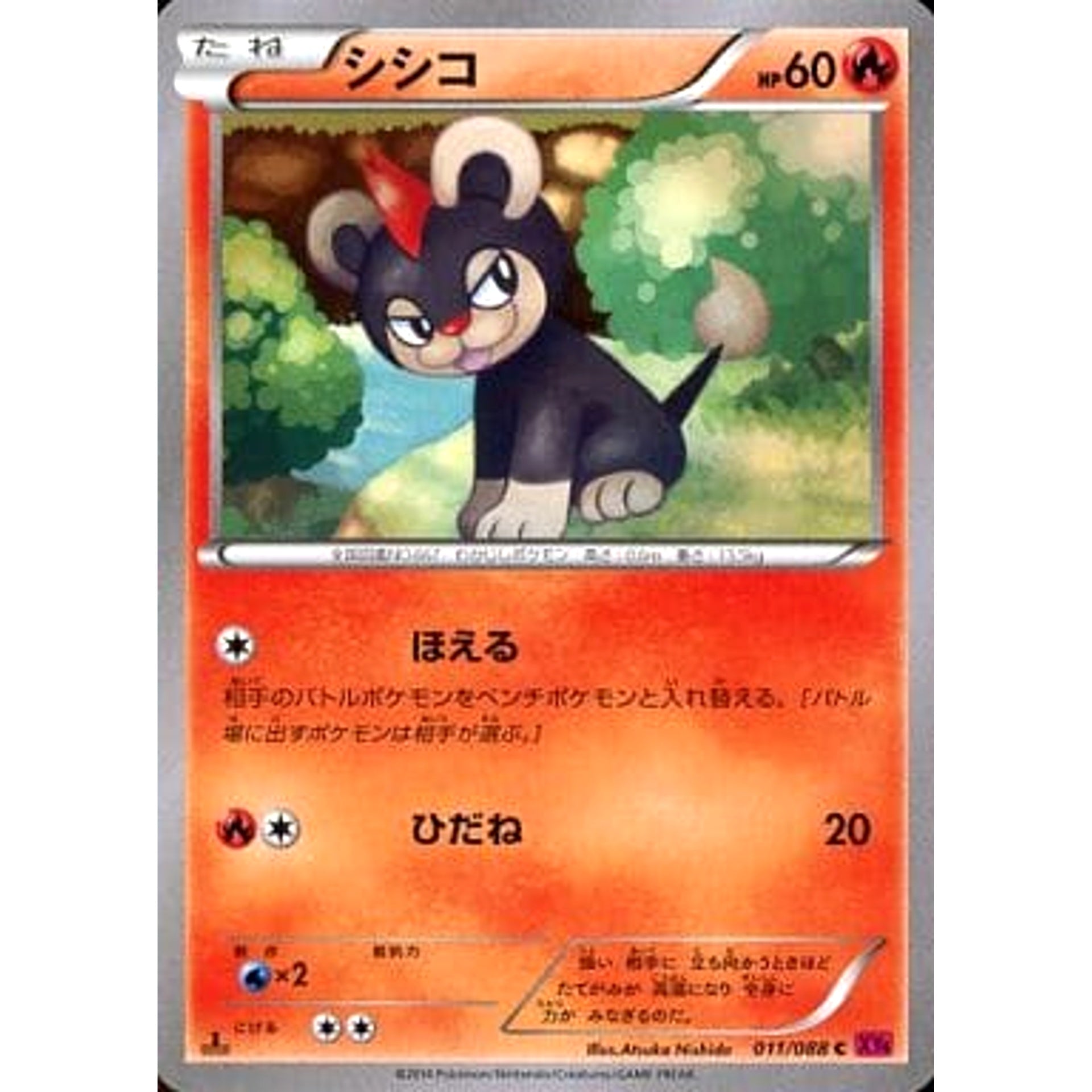 Pokemon Litleo C 011/088 XY4 Phantom Gate Japanese Pokemon Card [USED]