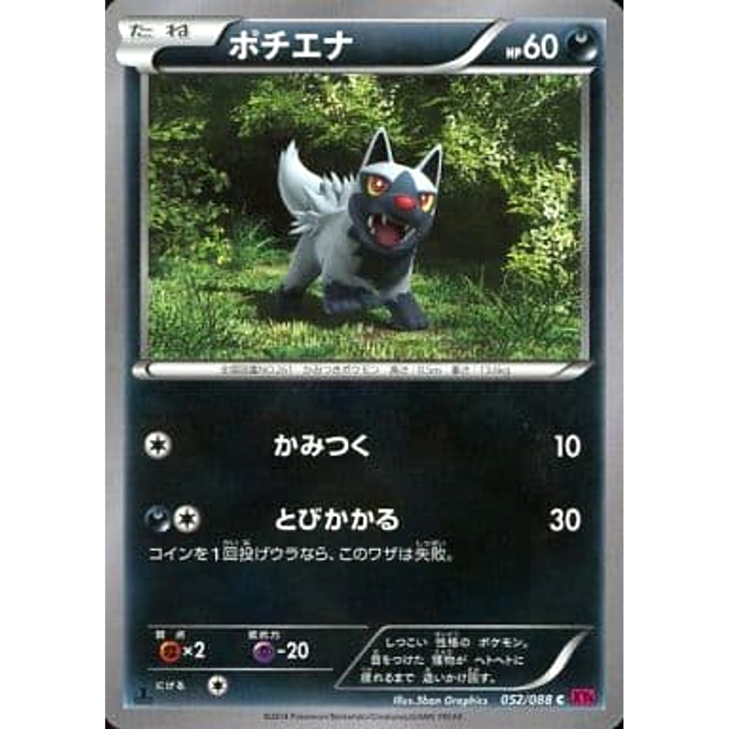 Pokemon Poochyena C 052/088 XY4 Phantom Gate Japanese Pokemon Card [USED]