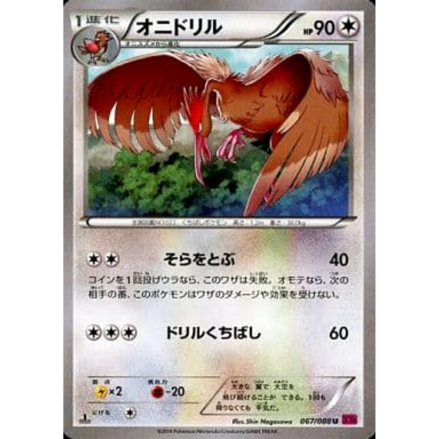 Pokemon Fearow U 067/088 XY4 Phantom Gate Japanese Pokemon Card [USED]