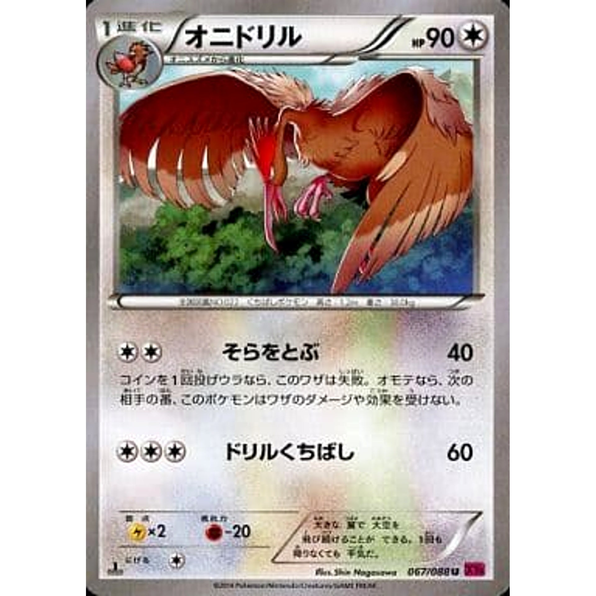 Pokemon Fearow U 067/088 XY4 Phantom Gate Japanese Pokemon Card [USED]