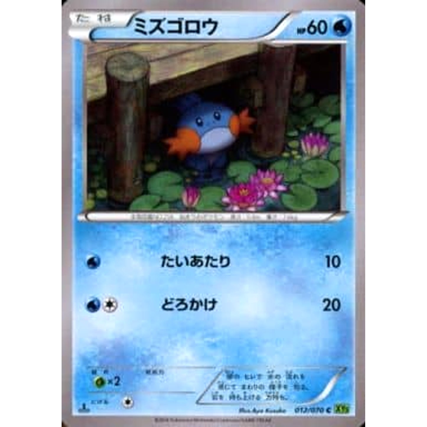 Pokemon Marshtomp C 012/070 XY5 Tidal Storm Japanese Pokemon Card [USED]