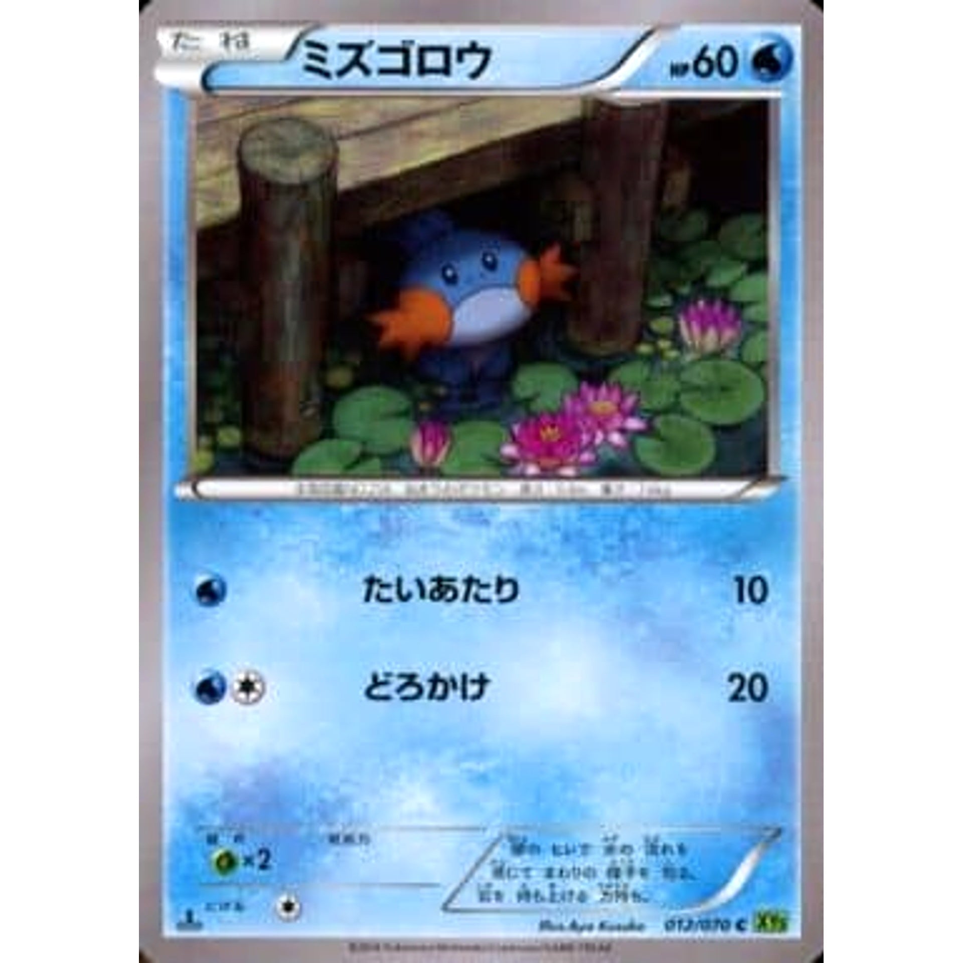 Pokemon Marshtomp C 012/070 XY5 Tidal Storm Japanese Pokemon Card [USED]