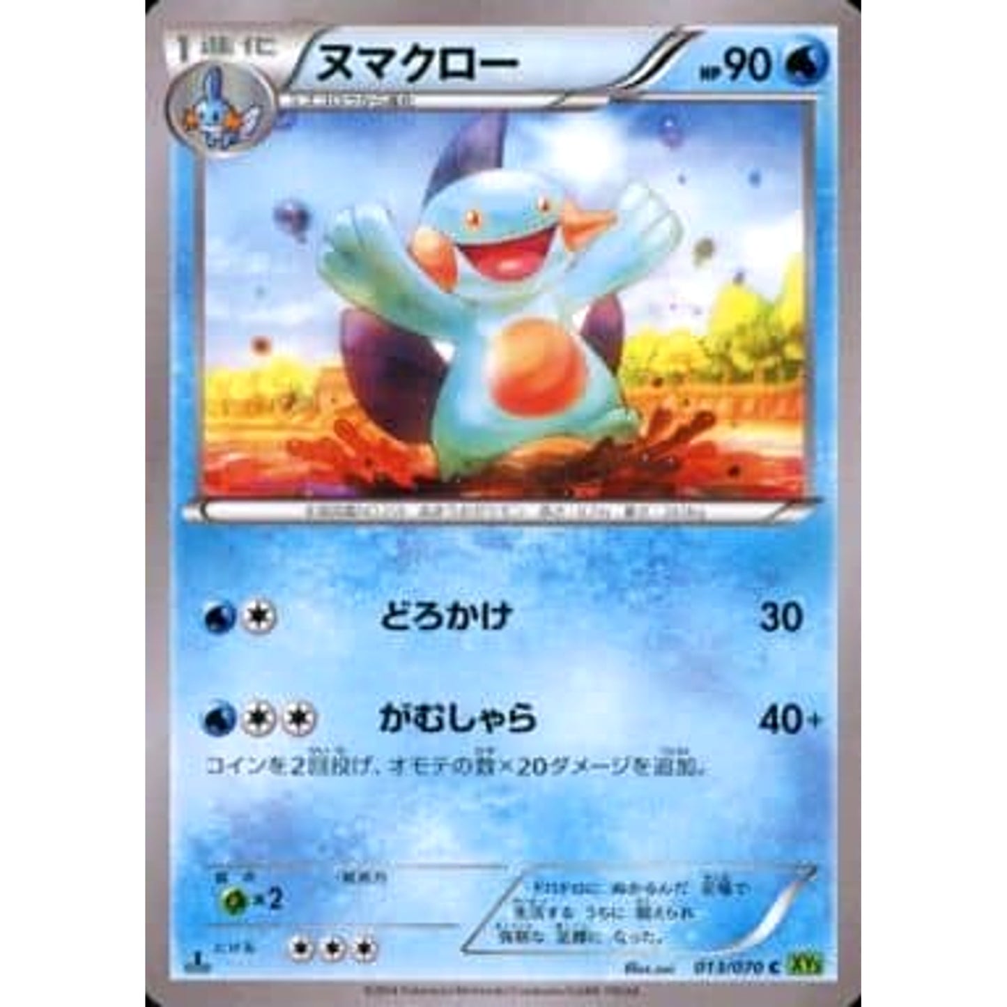 Pokemon Marshtomp C 013/070 XY5 Tidal Storm Japanese Pokemon Card [USED]