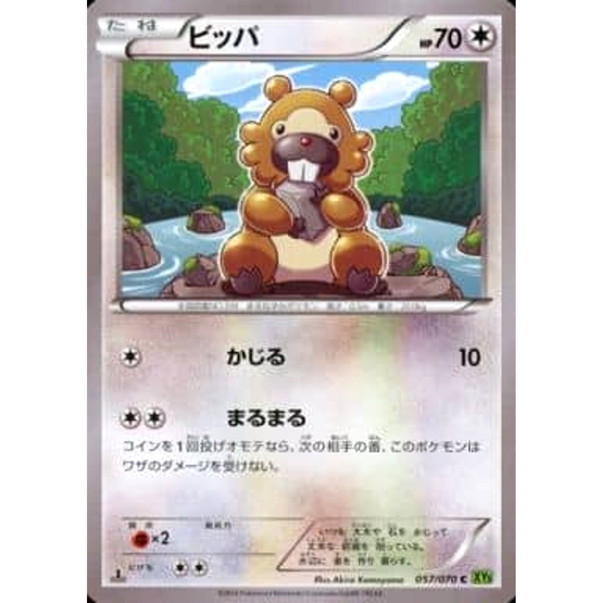 Pokemon Bidoof C 057/070 XY5 Tidal Storm Japanese Pokemon Card [USED]