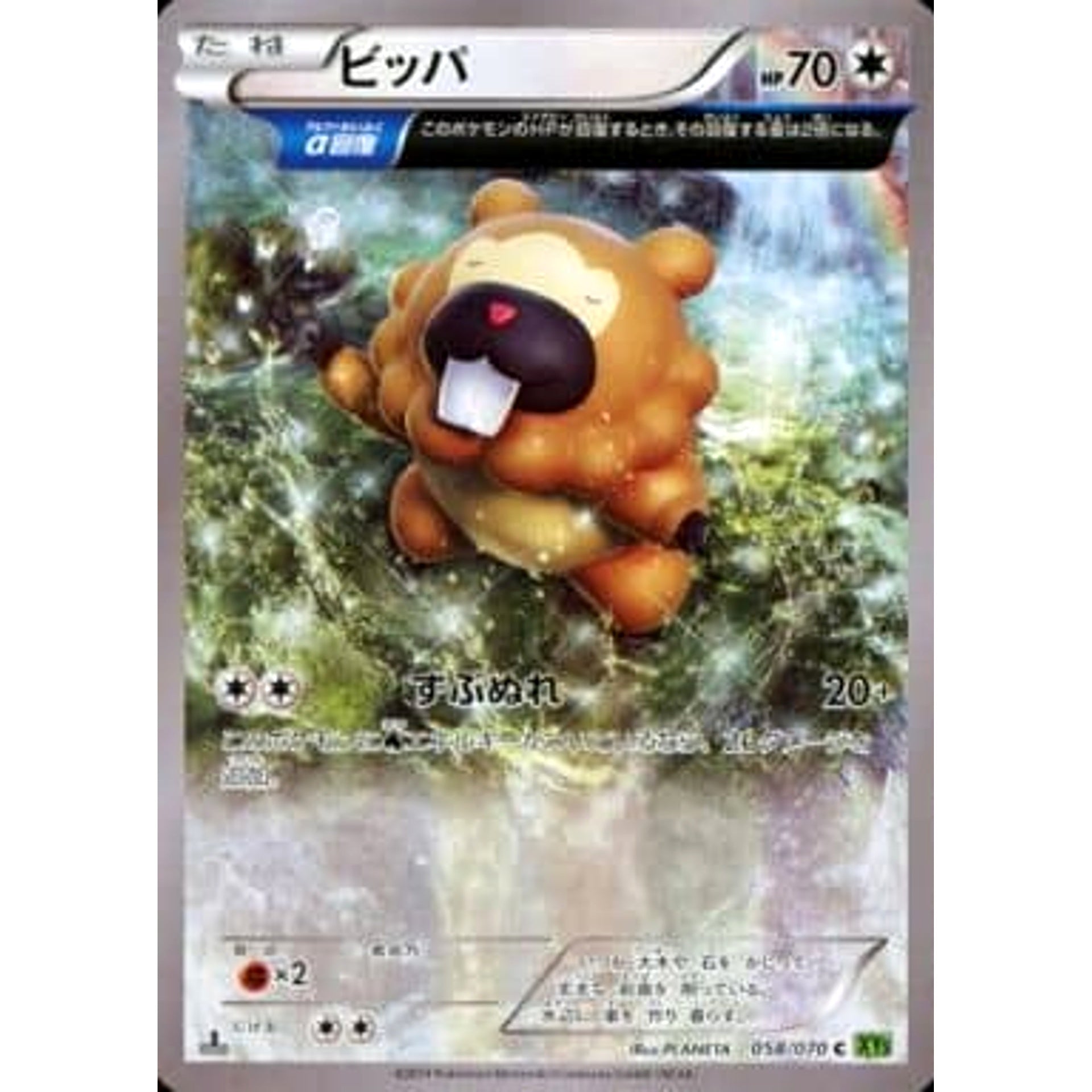 Pokemon Bidoof C 058/070 XY5 Tidal Storm Japanese Pokemon Card [USED]