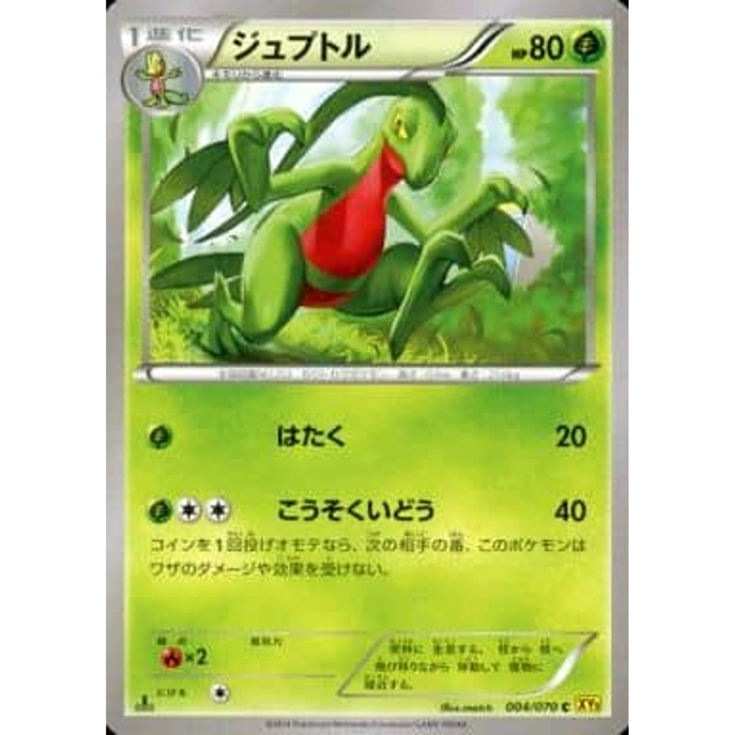 Pokemon Grovyle C 004/070 XY5 Gaia Volcano Japanese Pokemon Card [USED]