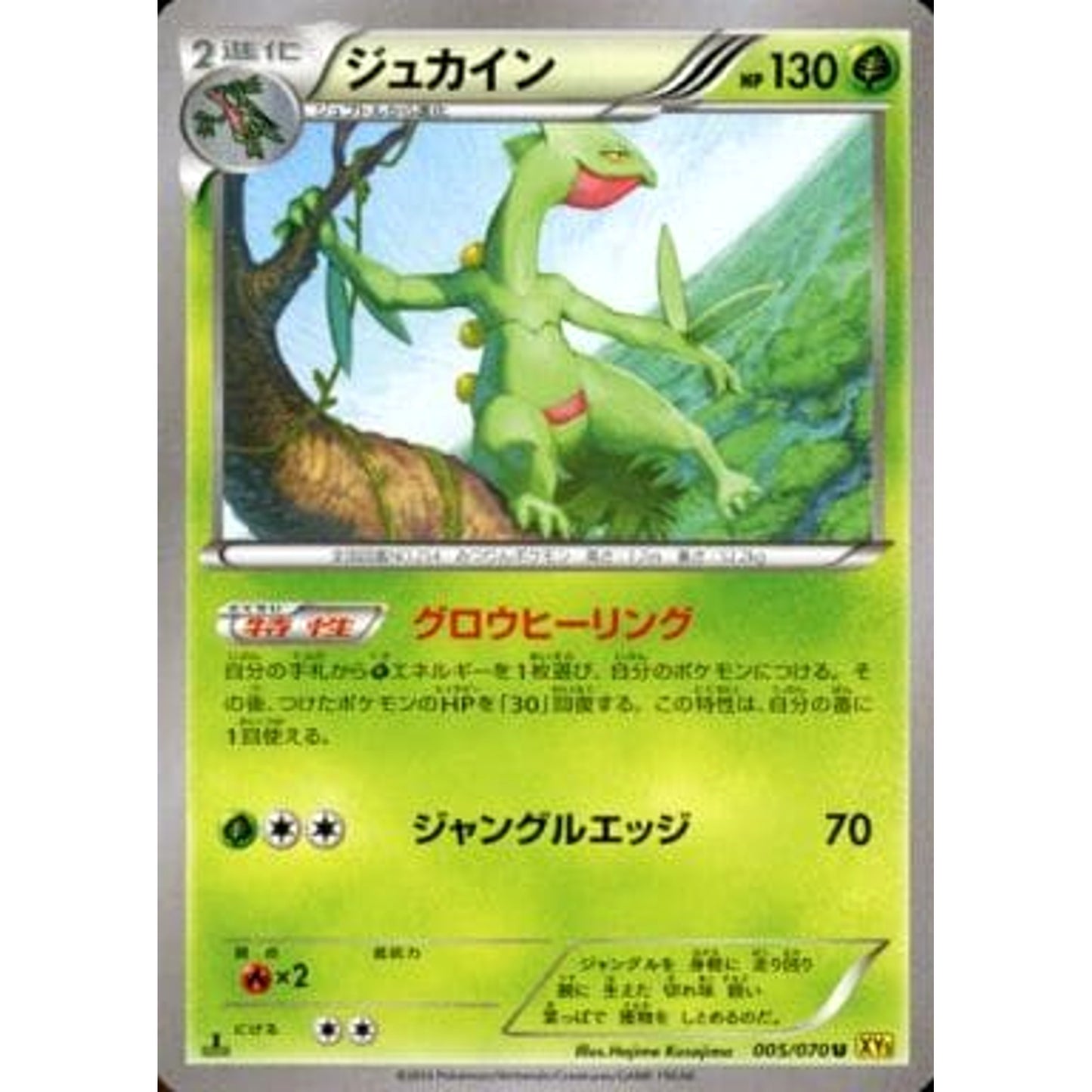 Pokemon Sceptile U 005/070 XY5 Gaia Volcano Japanese Pokemon Card [USED]