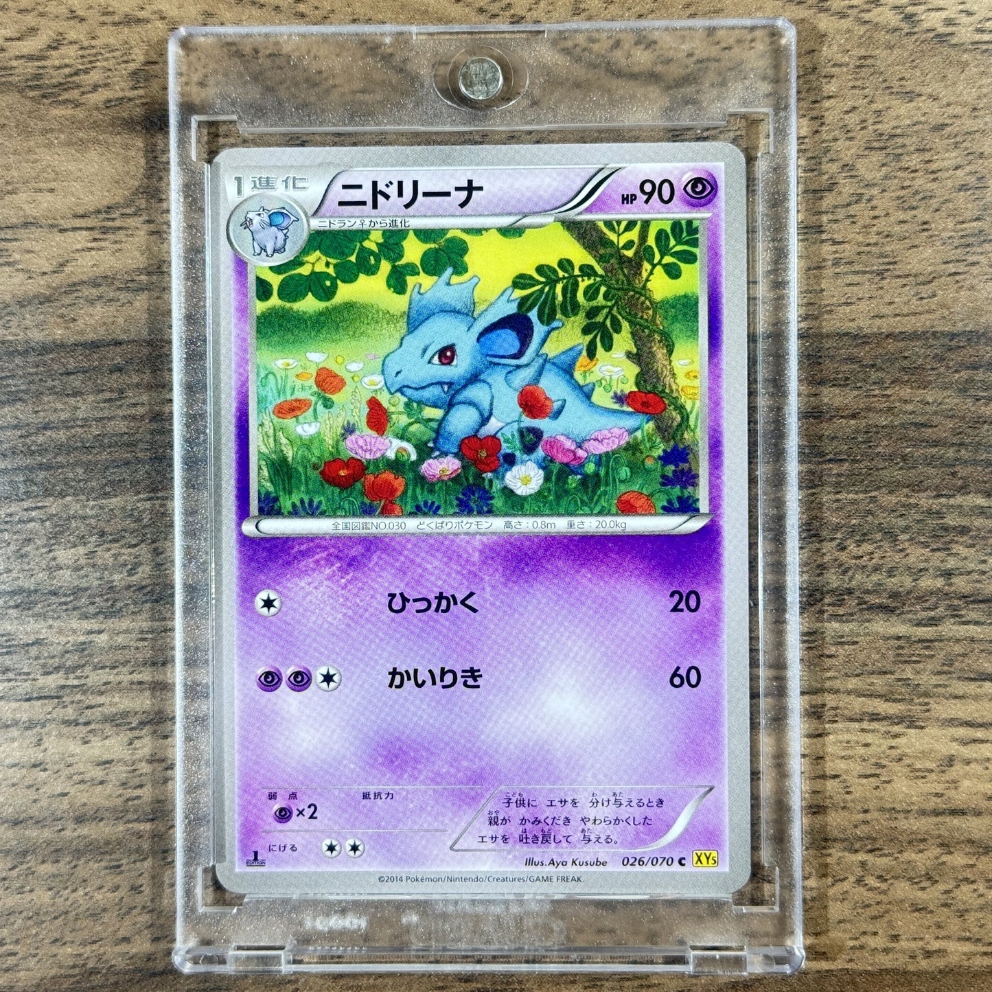 Pokemon Nidorina C 026/070 XY5 Gaia Volcano Japanese Pokemon Card [USED]