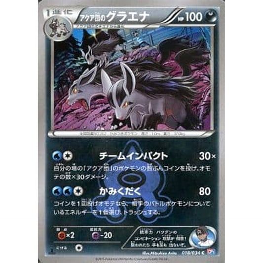 Pokemon Team Aqua's Mightyena C 018/034 CP1 Magma Gang VS Aqua Gang: Double Crisis Japanese Pokemon Card [USED]