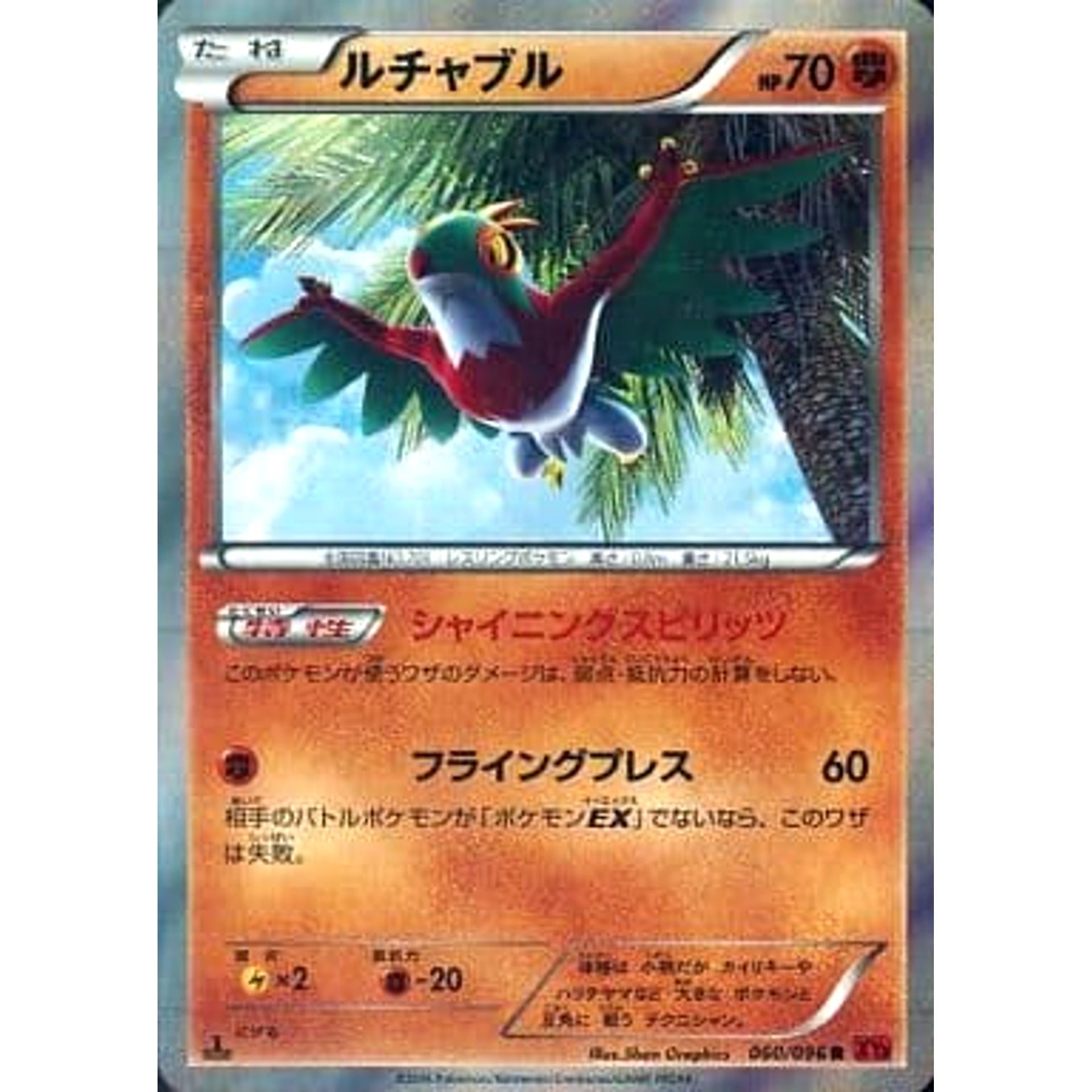 Pokemon Hawlucha Holo R 060/096 XY3 Rising Fist Japanese Pokemon Card [USED]