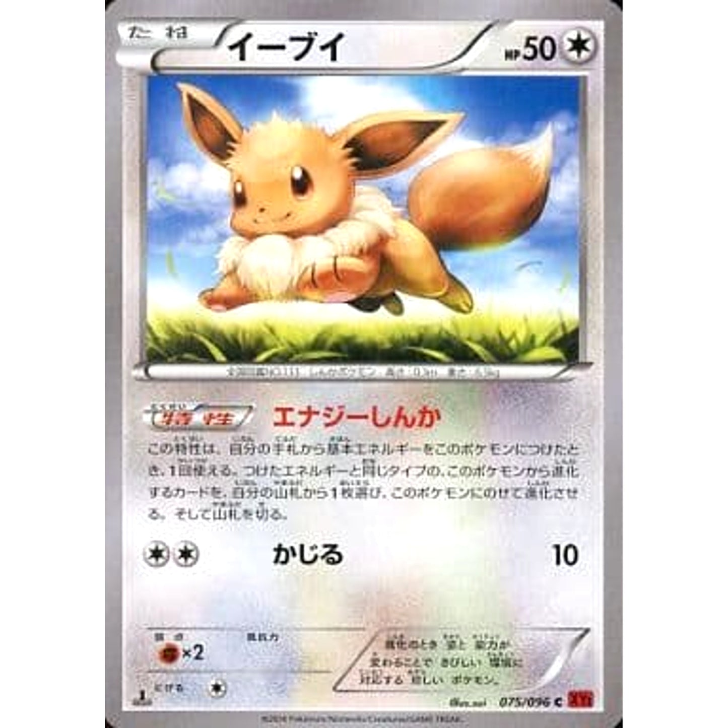 Pokemon Eevee C 075/096 XY3 Rising Fist Japanese Pokemon Card [USED]