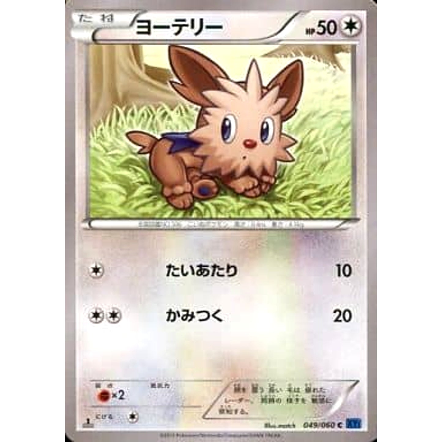 Pokemon Lillipup C 049/060 XY1 Collection X Japanese Pokemon Card [USED]