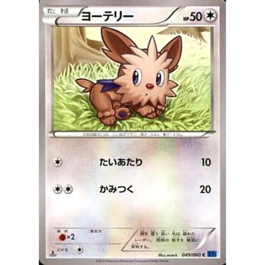 Pokemon Lillipup C 049/060 XY1 Collection X Japanese Pokemon Card [USED]