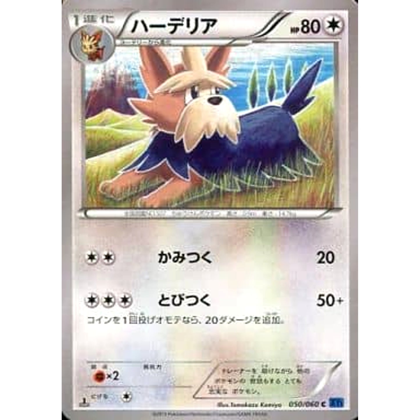 Pokemon Herdier C 050/060 XY1 Collection X Japanese Pokemon Card [USED]