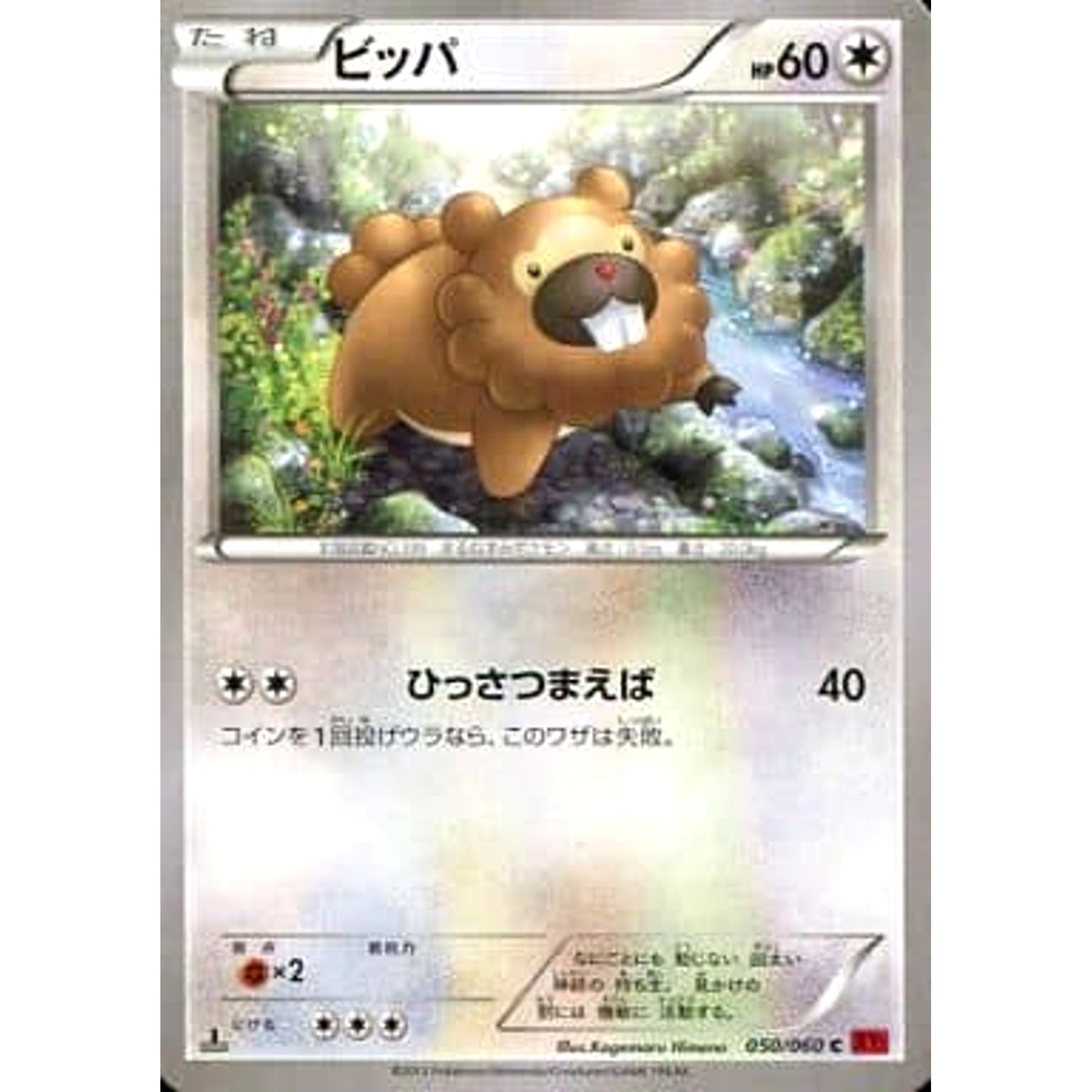 Pokemon Bidoof C 050/060 XY1 Collection Y Japanese Pokemon Card [USED]