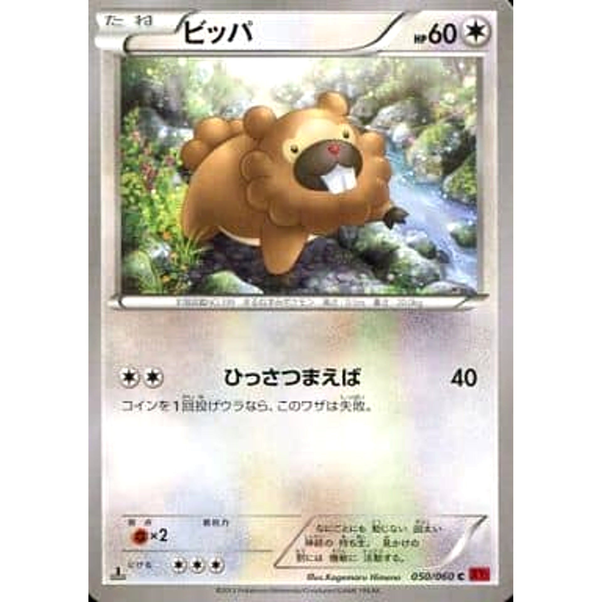 Pokemon Bidoof C 050/060 XY1 Collection Y Japanese Pokemon Card [USED]