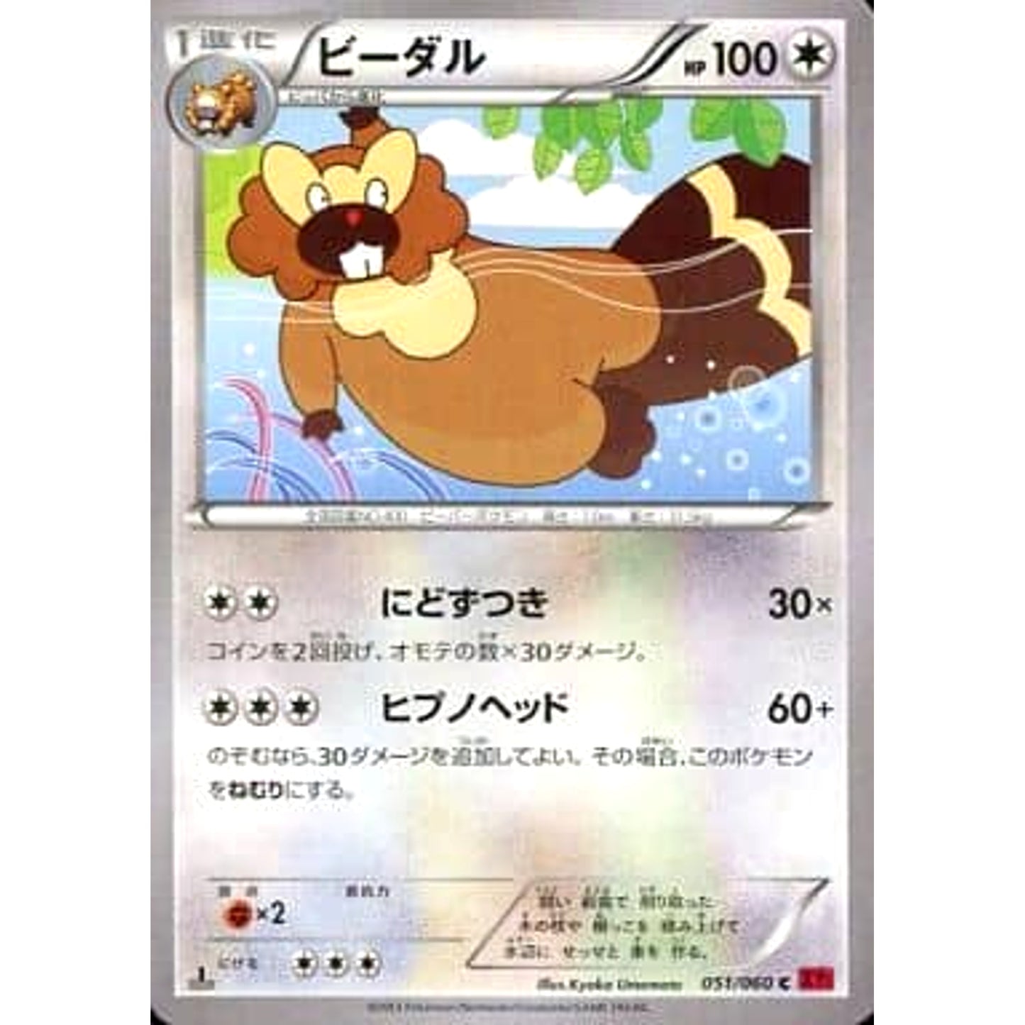 Pokemon Bibarel C 051/060 XY1 Collection Y Japanese Pokemon Card [USED]