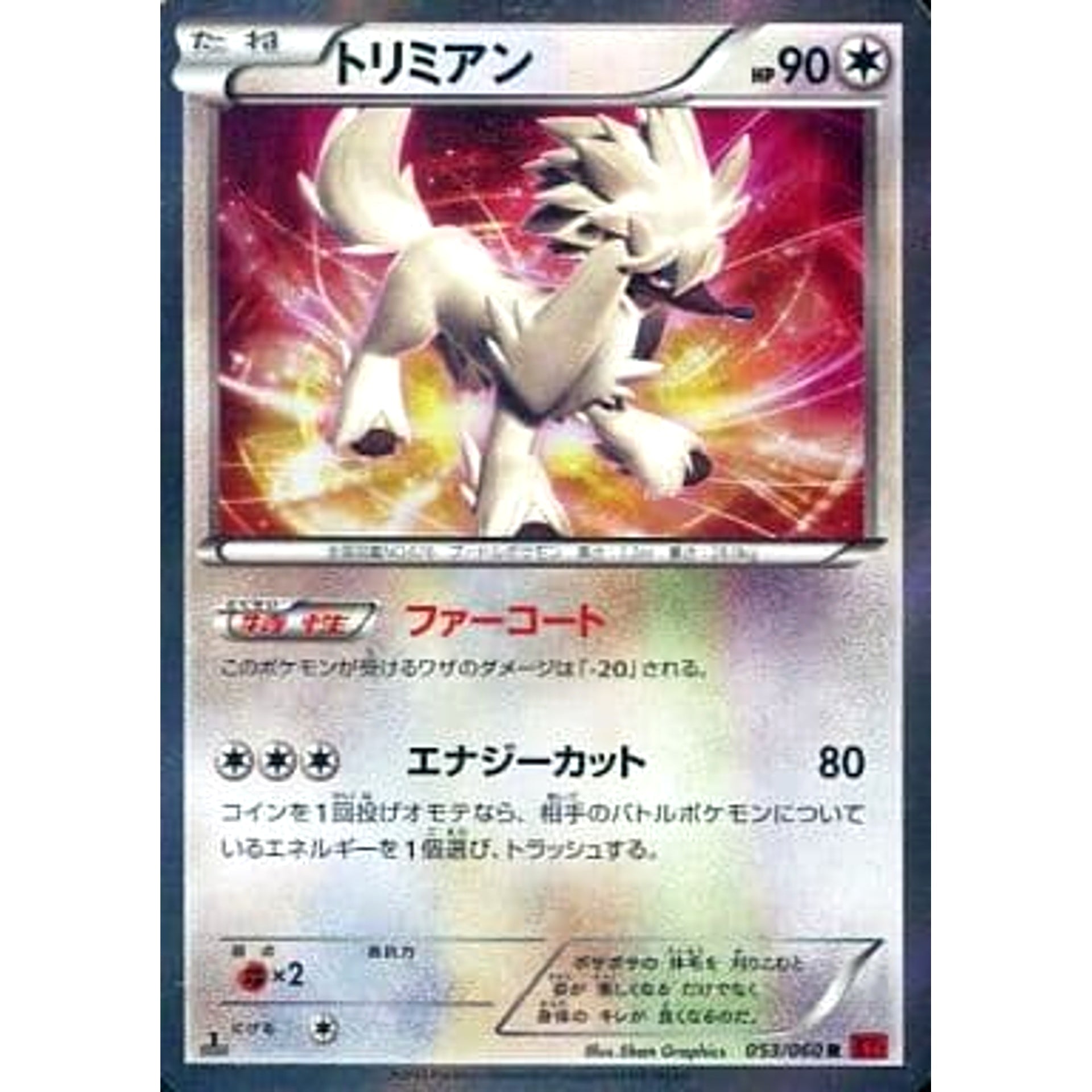 Pokemon Furfrou Holo R 053/060 XY1 Collection Y Japanese Pokemon Card [USED]