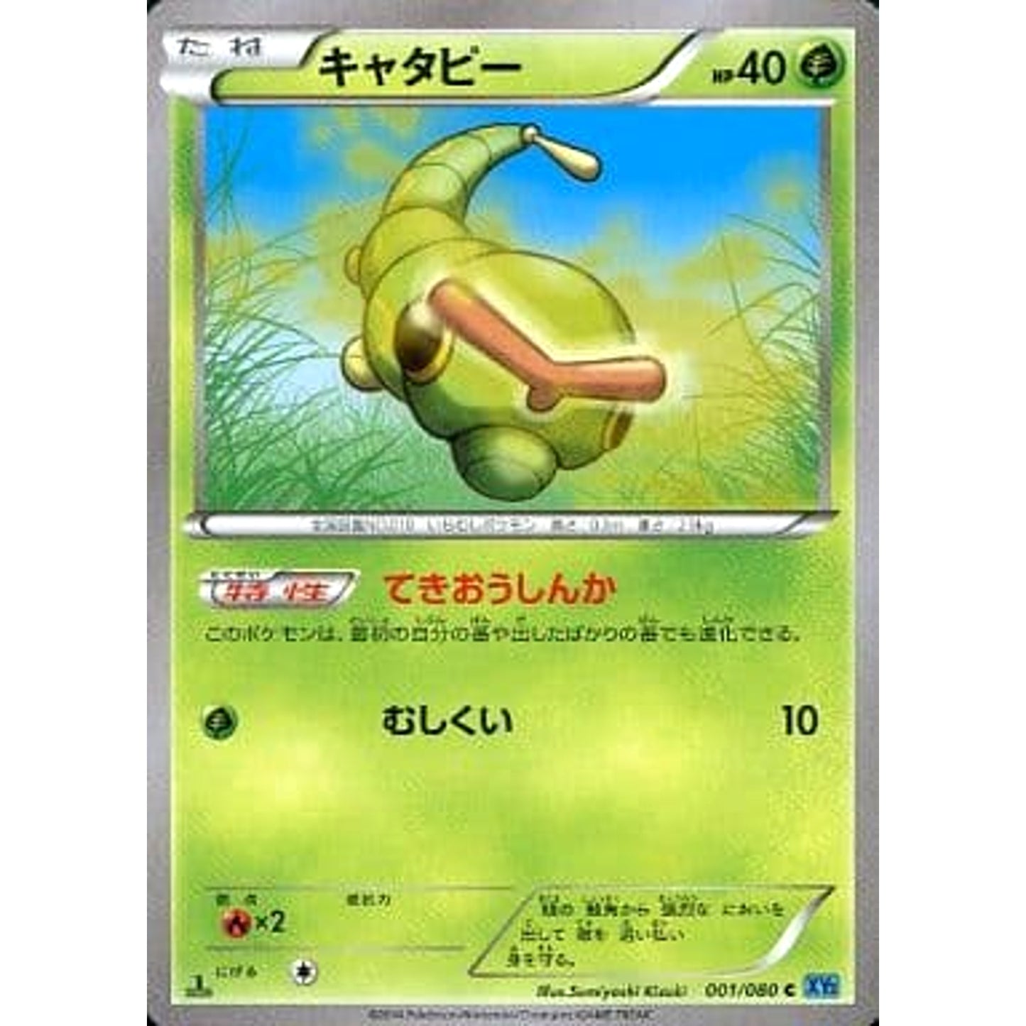 Pokemon Caterpie C 001/080 XY2 Wild Blaze Japanese Pokemon Card [USED]