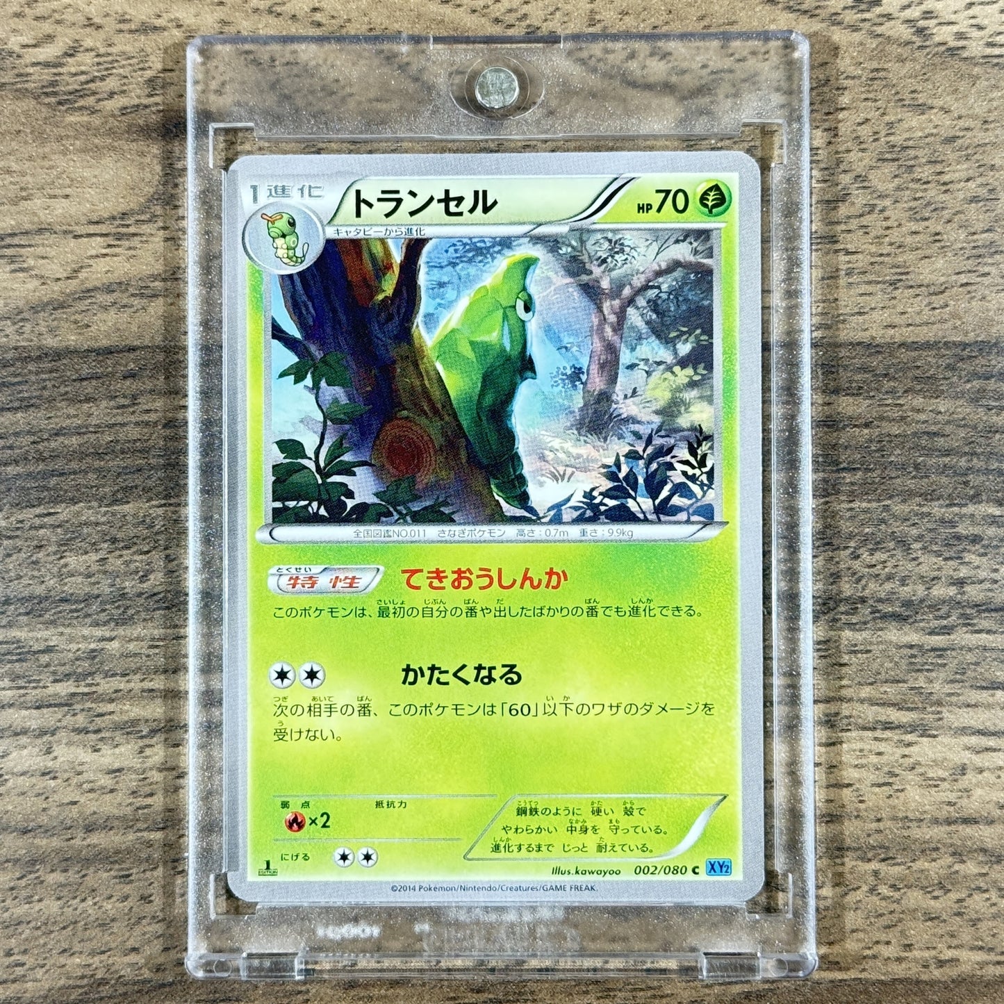 Pokemon Metapod C 002/080 XY2 Wild Blaze Japanese Pokemon Card [USED]