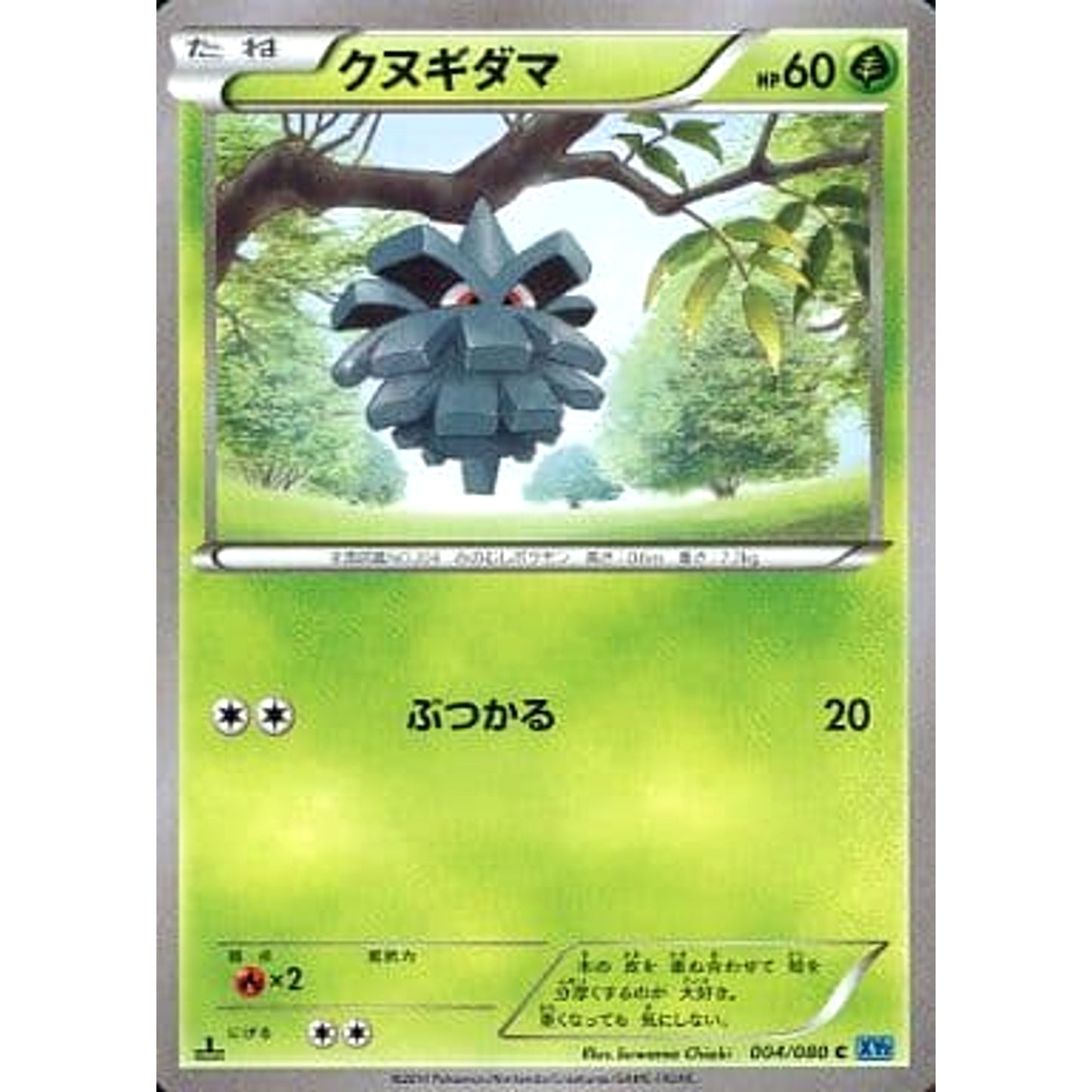 Pokemon Pineco C 004/080 XY2 Wild Blaze Japanese Pokemon Card [USED]