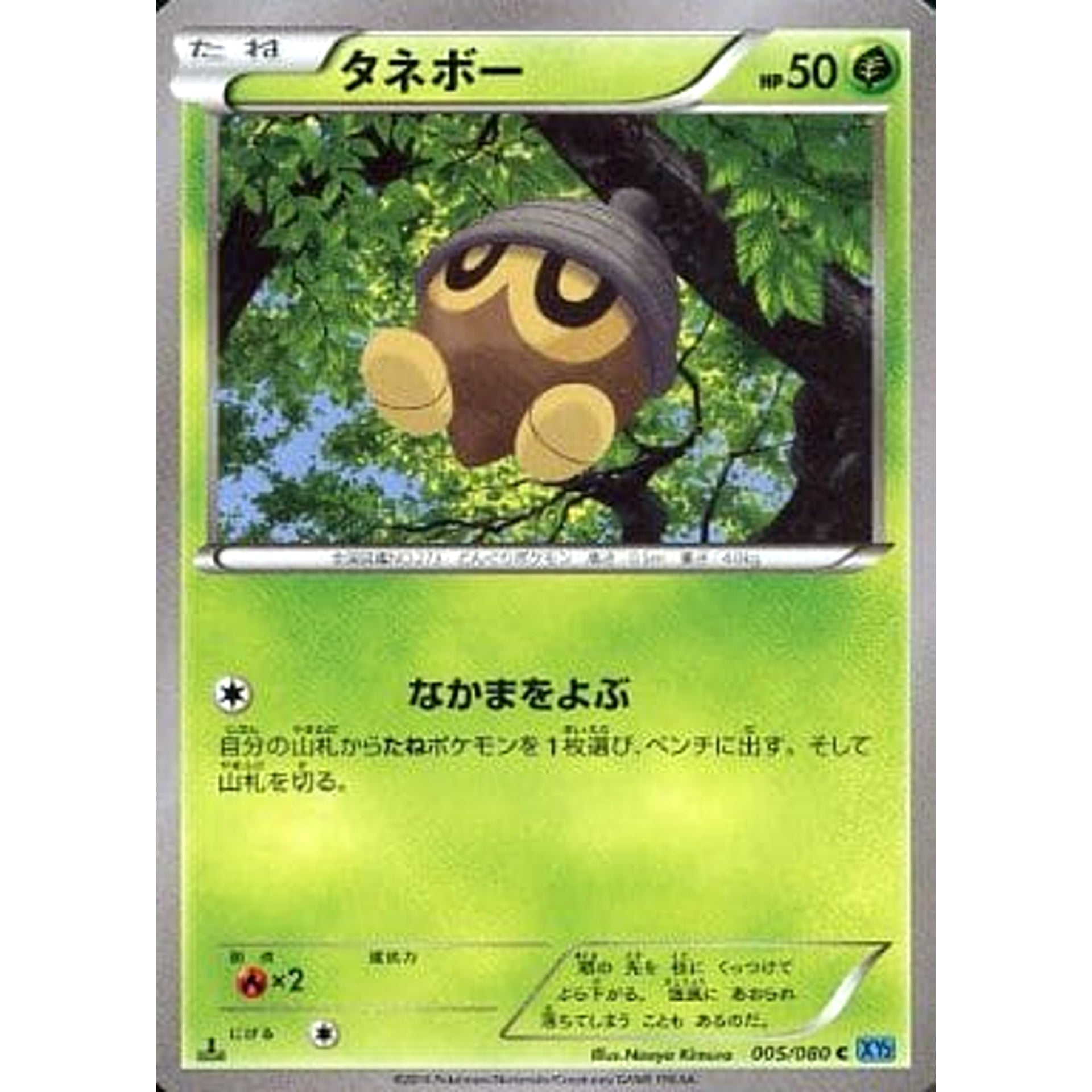 Pokemon Seedot C 005/080 XY2 Wild Blaze Japanese Pokemon Card [USED]
