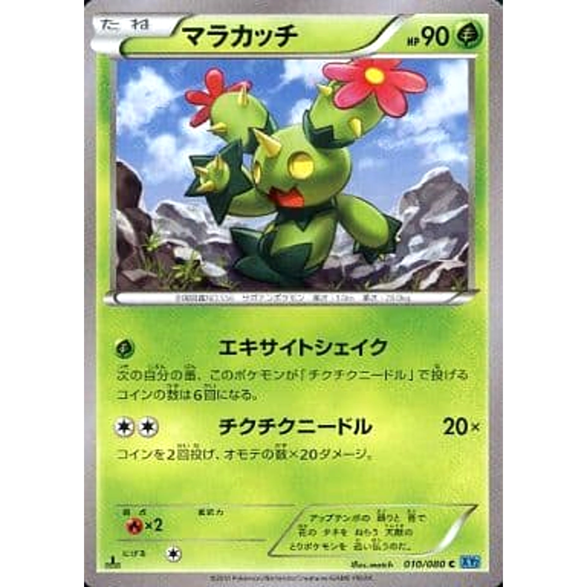 Pokemon Maractus C 010/080 XY2 Wild Blaze Japanese Pokemon Card [USED]